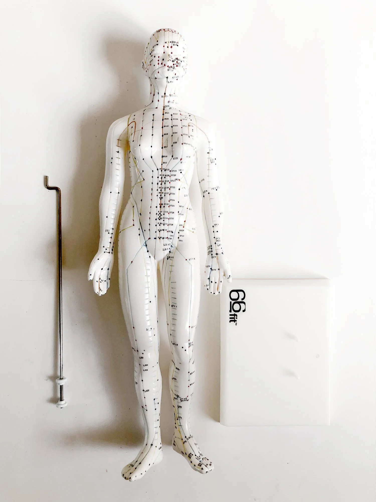 aculady 03 25.jpg