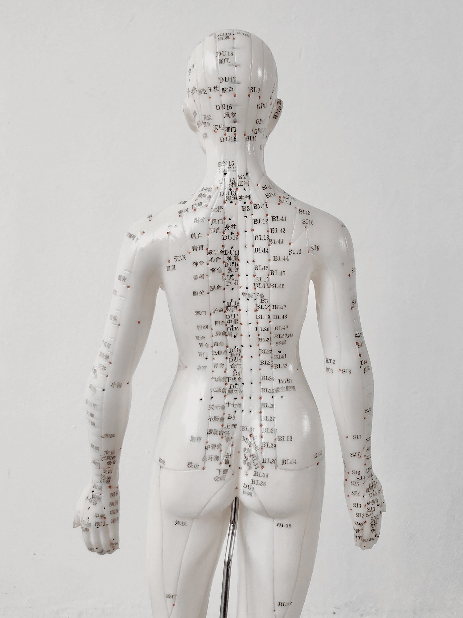 acupoints model woman.jpg