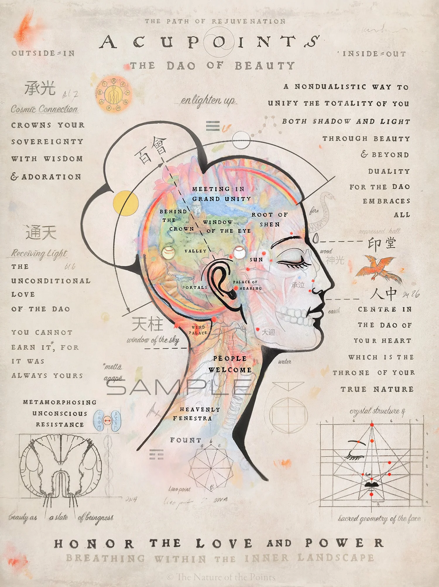 dao of beauty .jpg