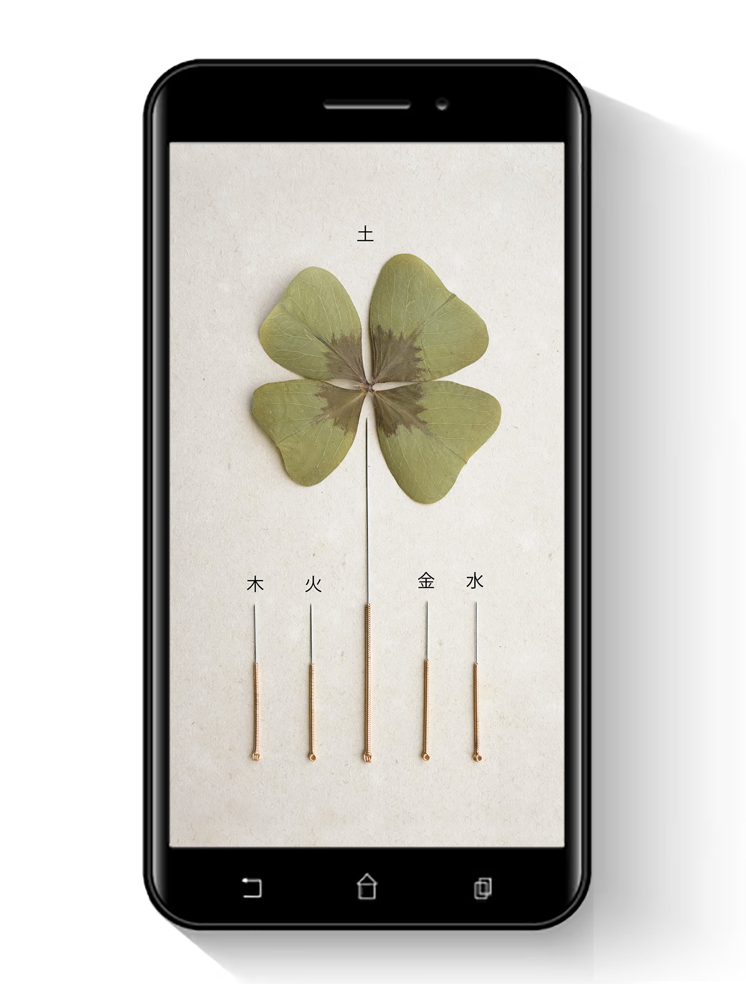 free screen 2026.jpg