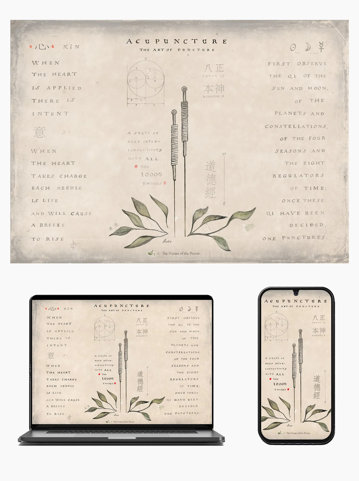 acupuncture free download.jpg