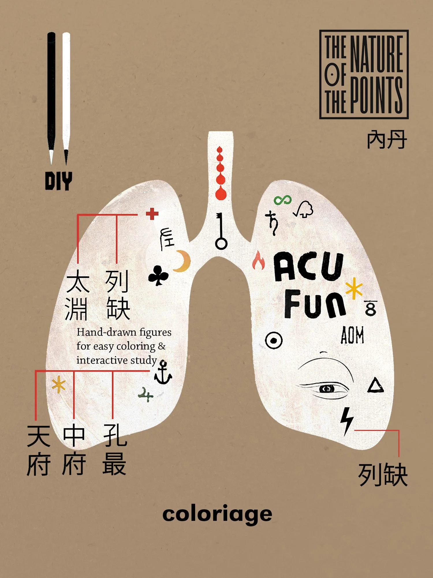 Lung coloriage.jpg
