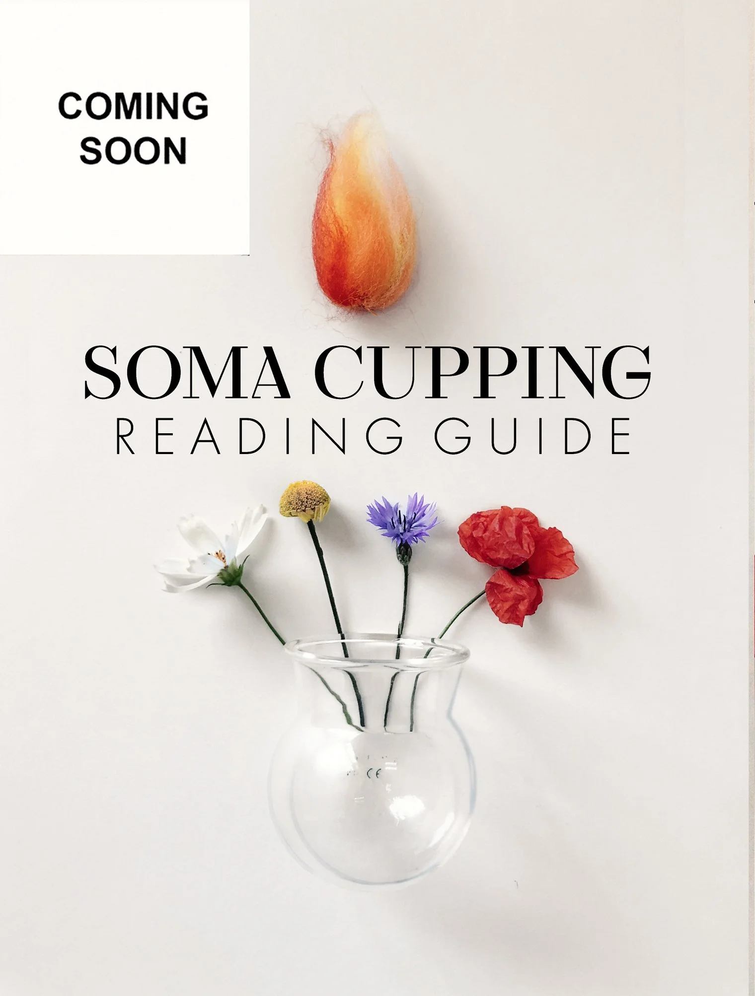 soma cupping class web.jpg
