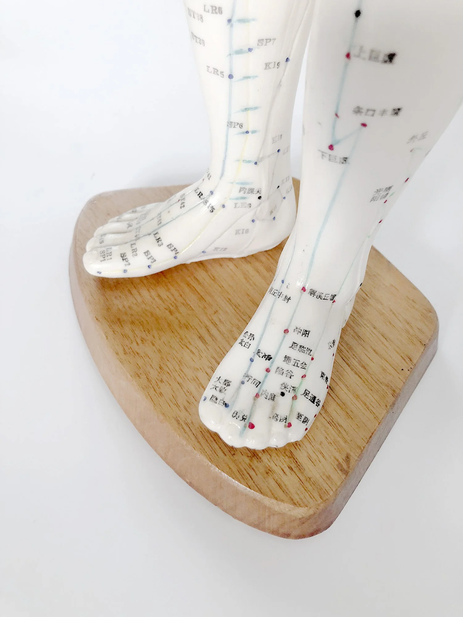 acu model wooden stand.jpg