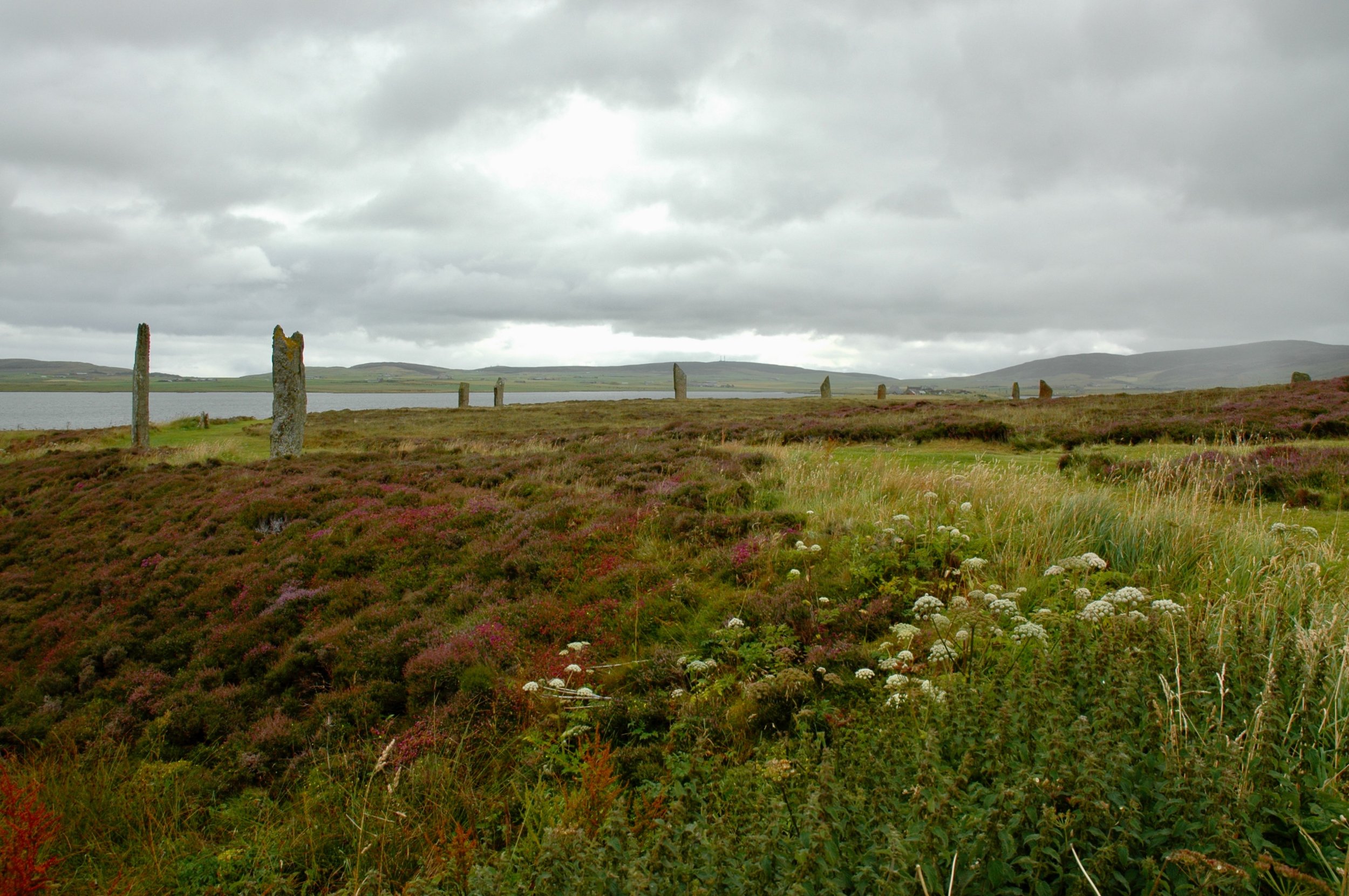 DSC_0109 2.JPG