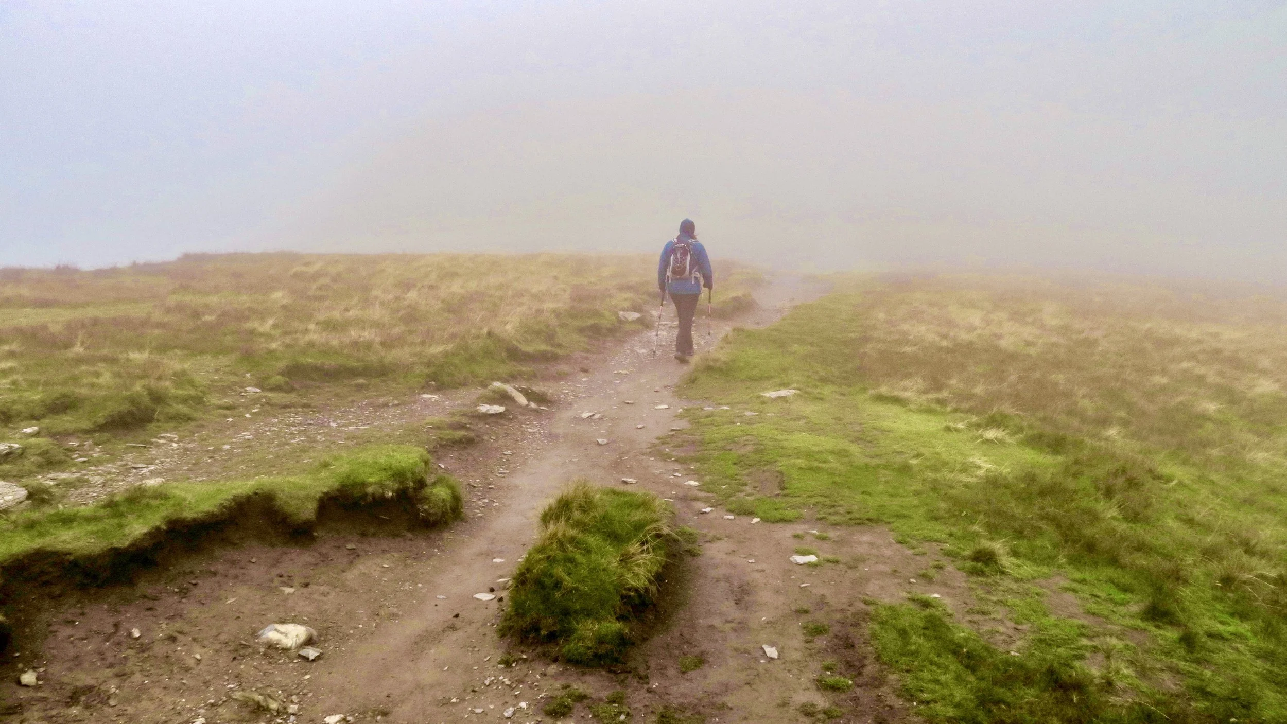 Coping with adverse weather conditions : Rain