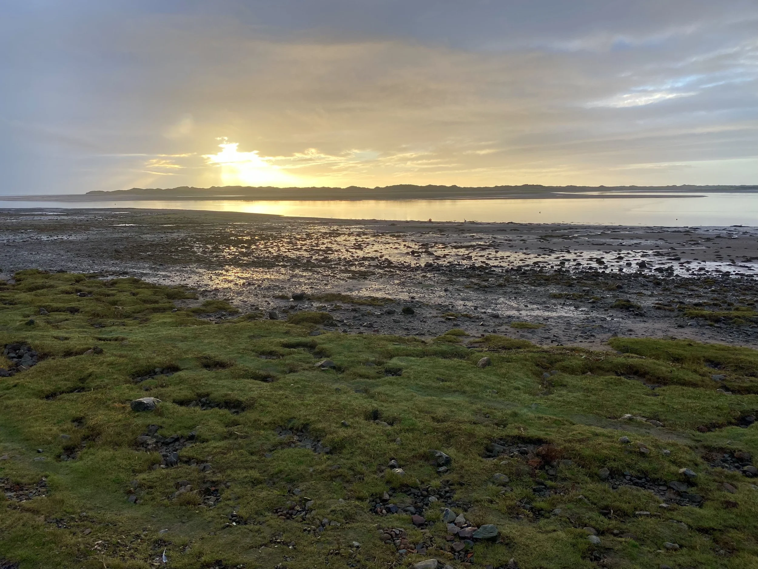 Feeling alive in 2025