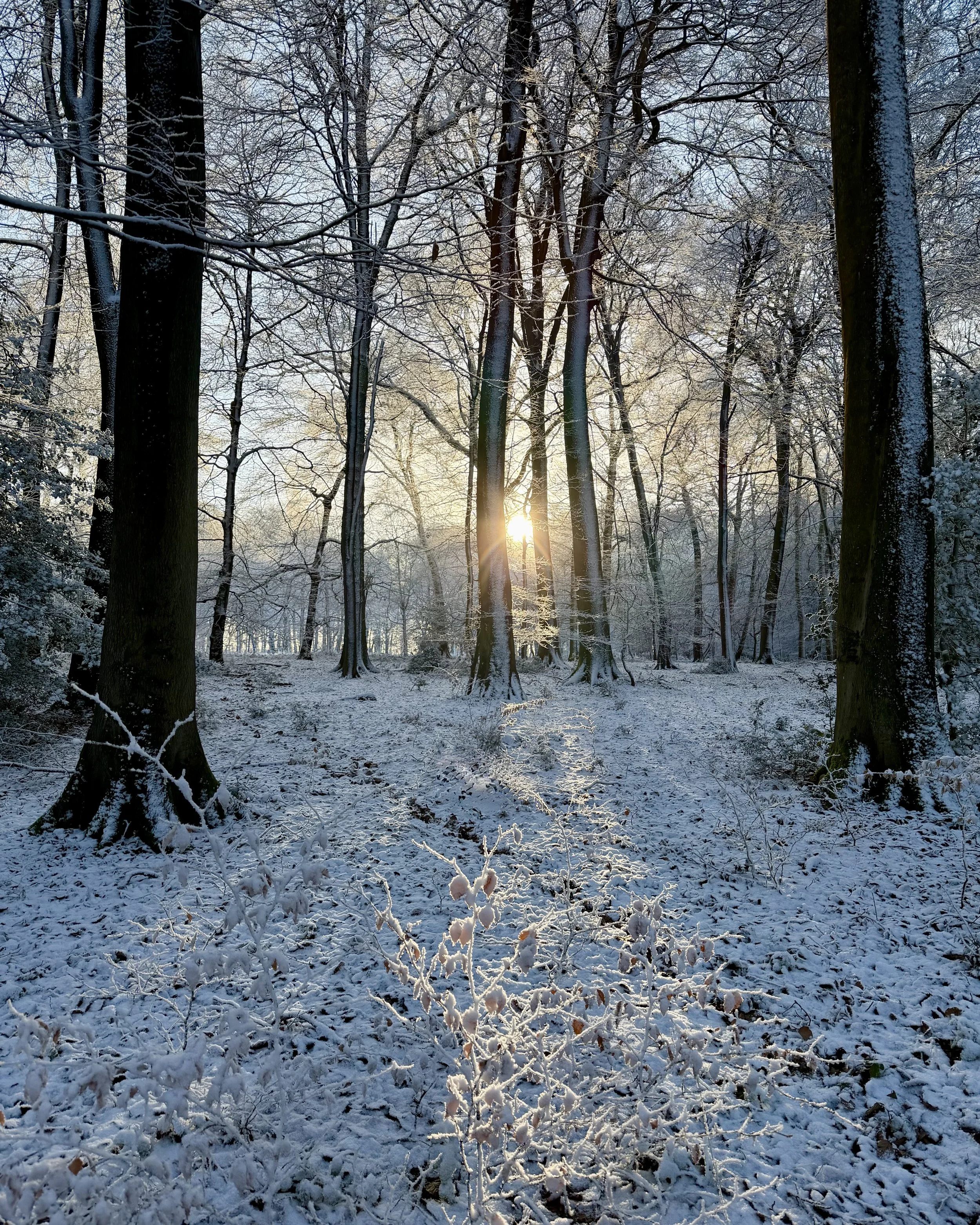 A New Year microadventure