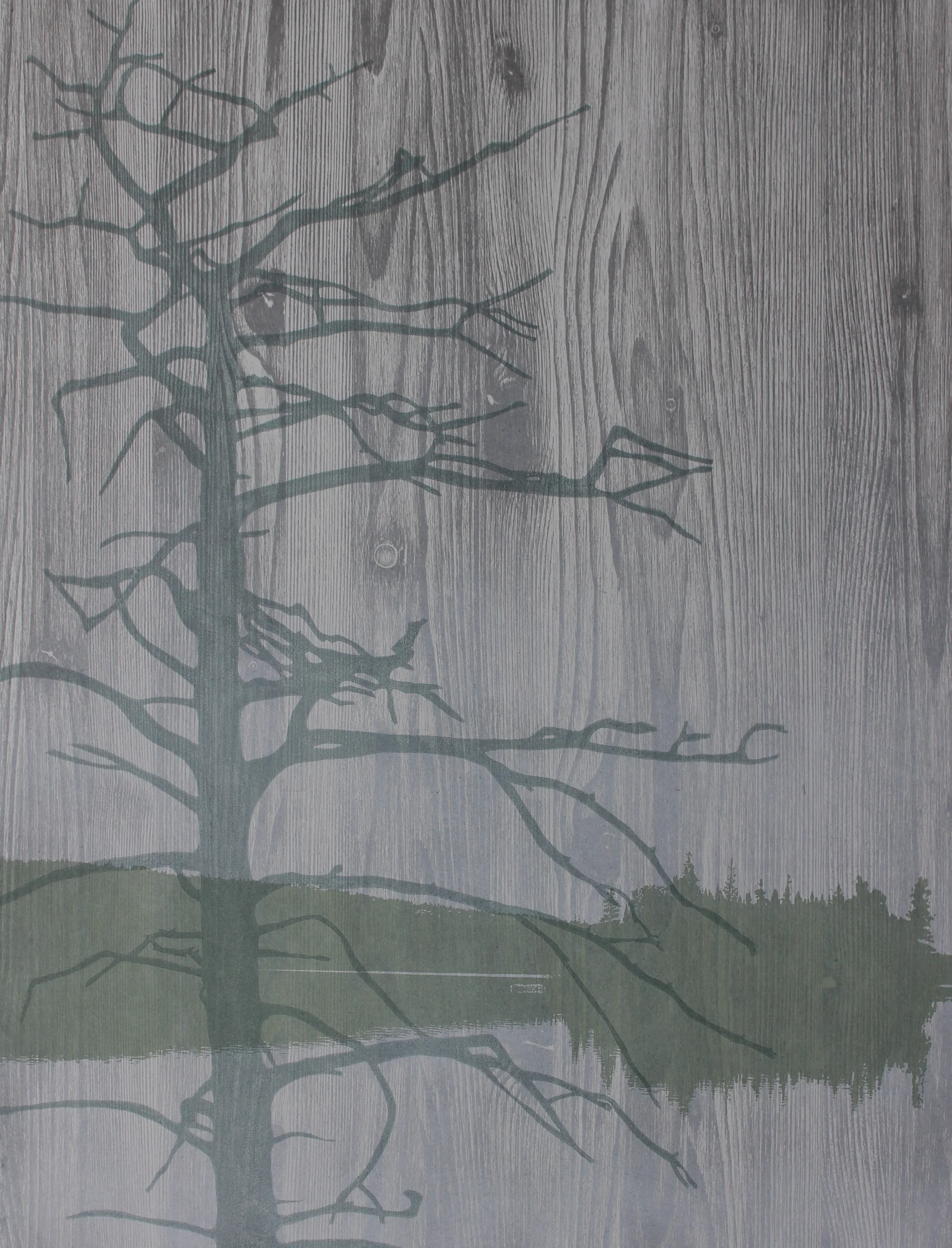 Ghost Pine Series