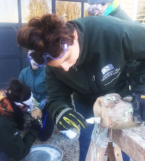 Helping Ecosystems Through Mushroom Cultivation