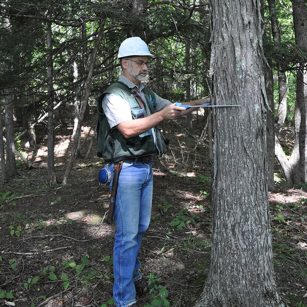 A Deeper Look At River Bend Farm's Forest Ecosystem 