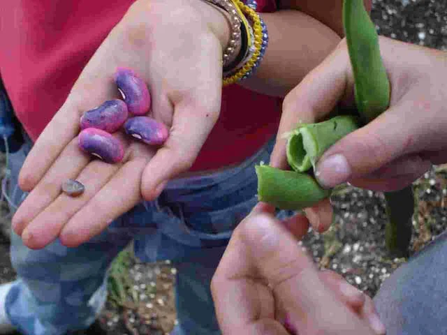 Davis Conservation Foundation Grants $10,000 to The Ecology School