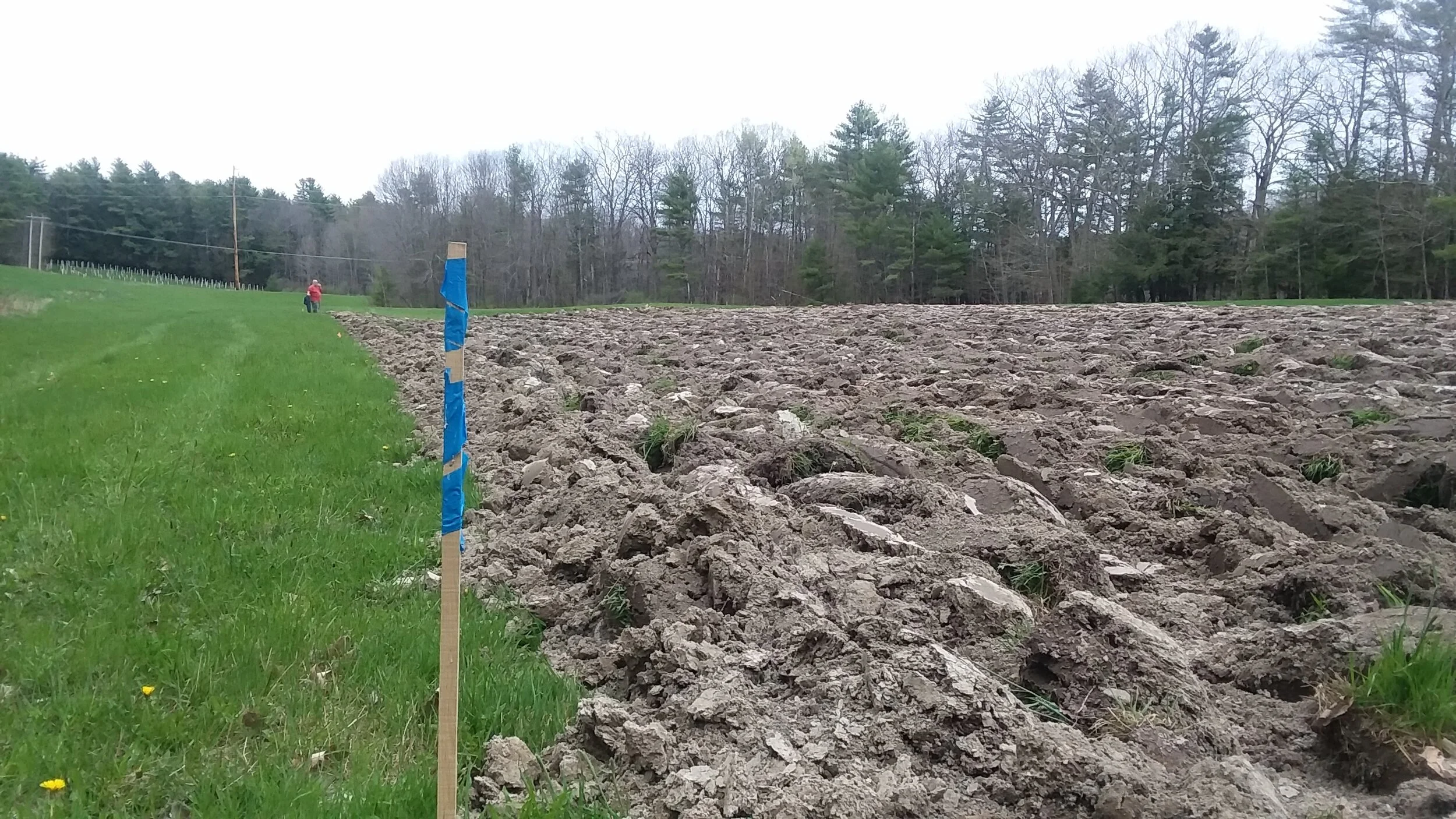 What's Up Next for the Farm: Soil Health and Cultivation