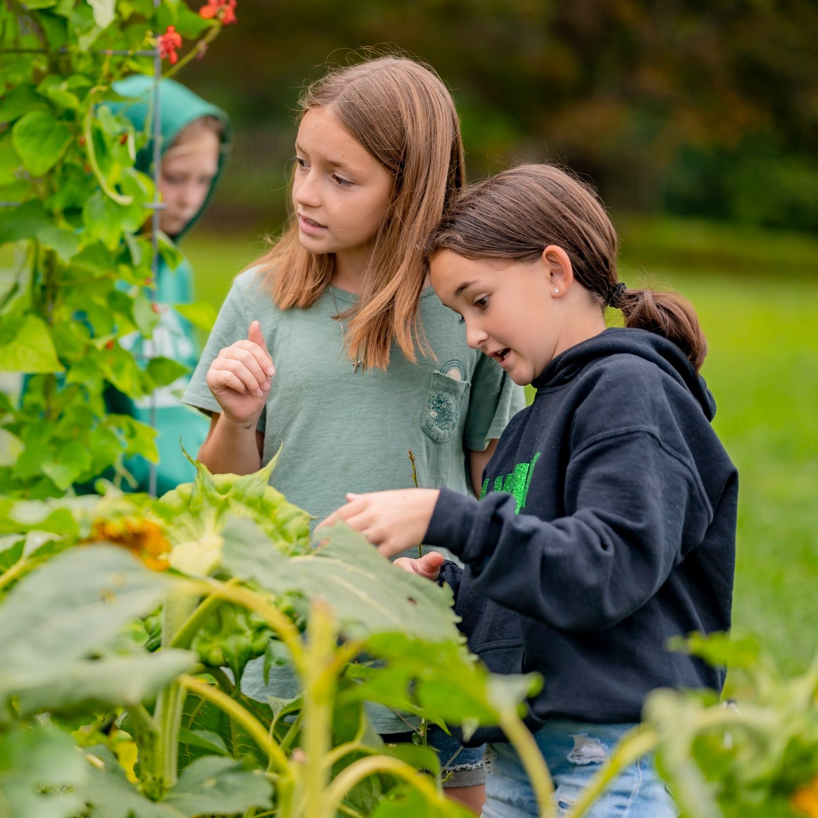 Summer Ecology Adventure Camp Week 2 - Farm to Table