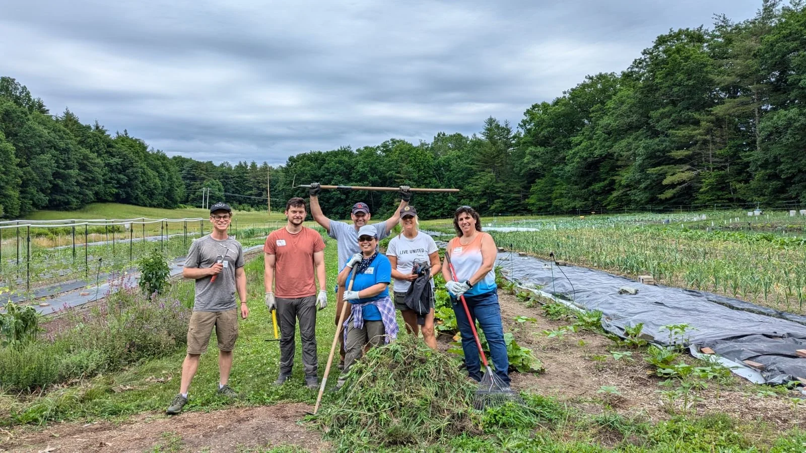 Photo Jun 24 2024, 9 14 17 AM.jpg