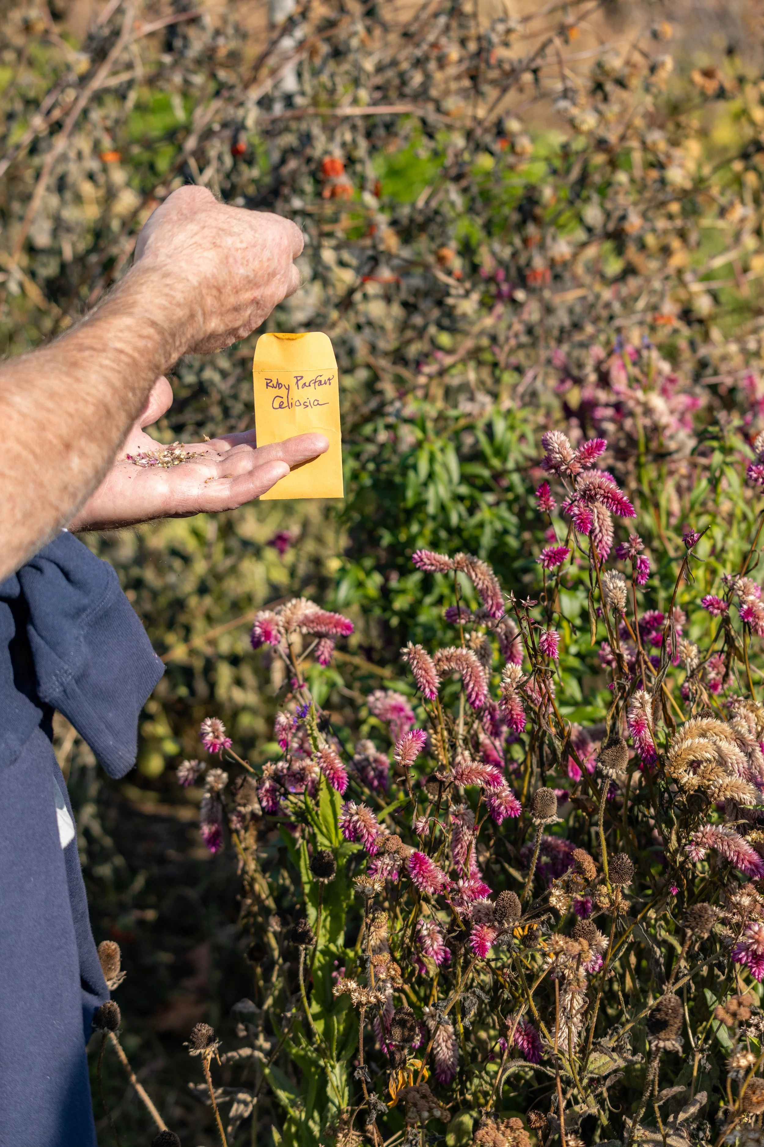 Seed Saving Workshop
