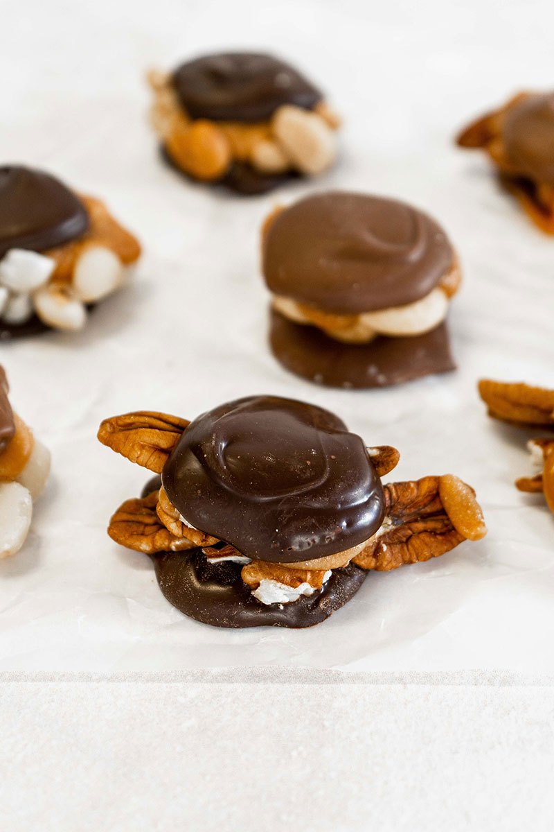 PridesCrossingConfections_Turtles2.jpg
