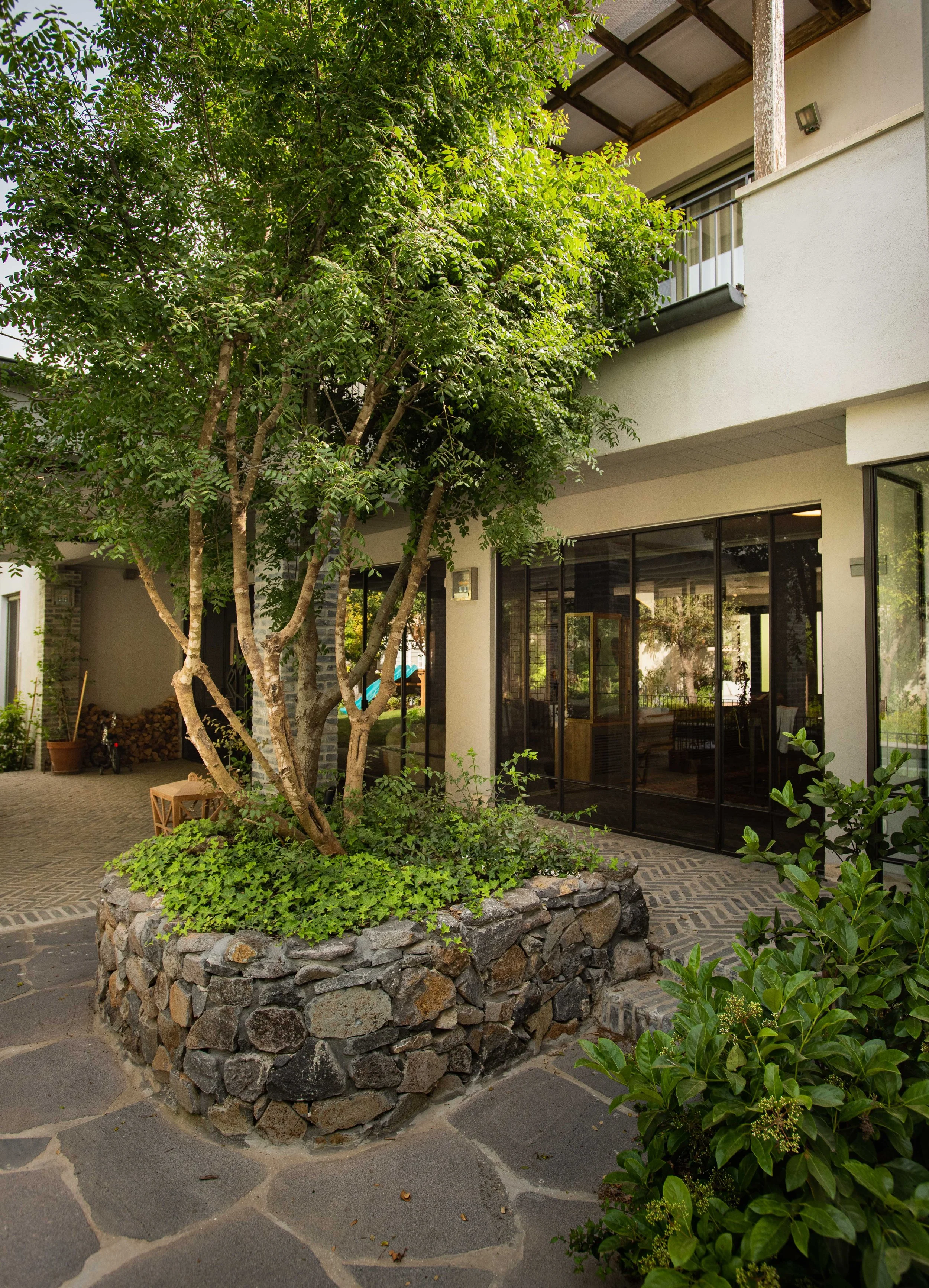 GiladRadat -9437.JPG