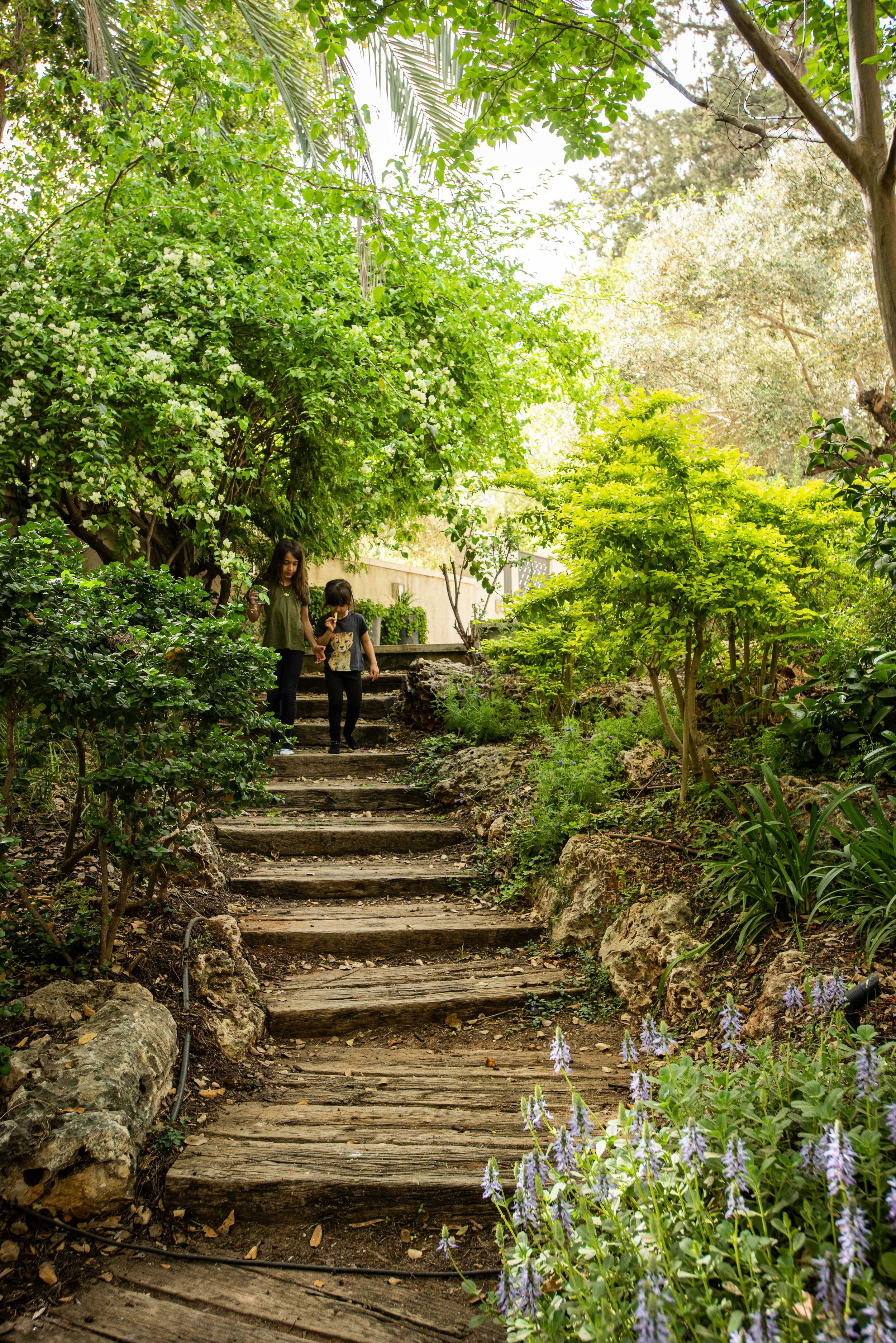 GiladRadat -9359.JPG