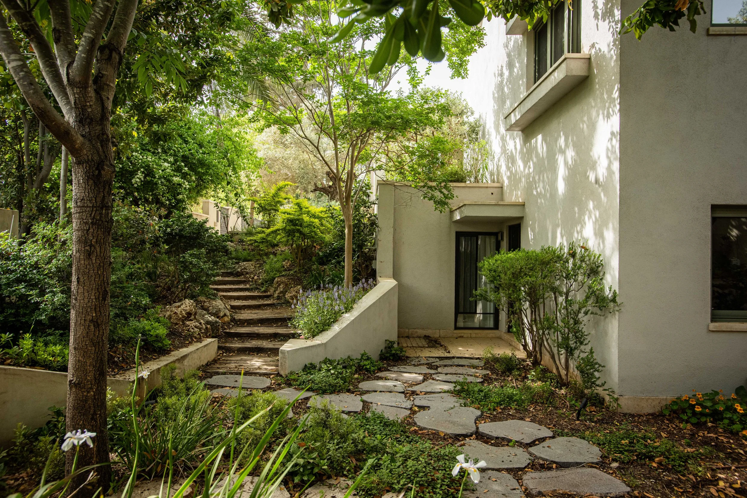 GiladRadat -9363.JPG