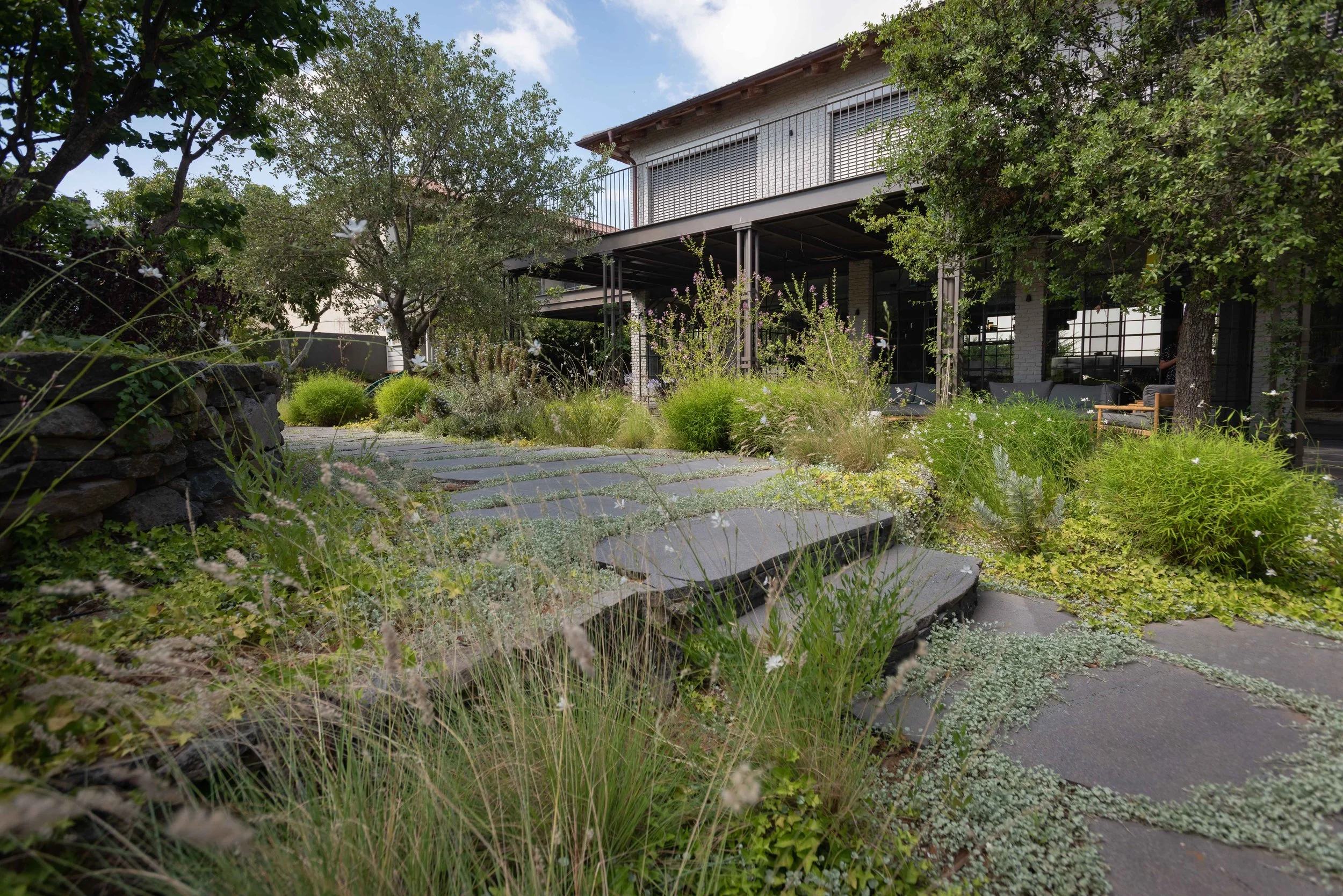 GiladRadat -2672.JPG