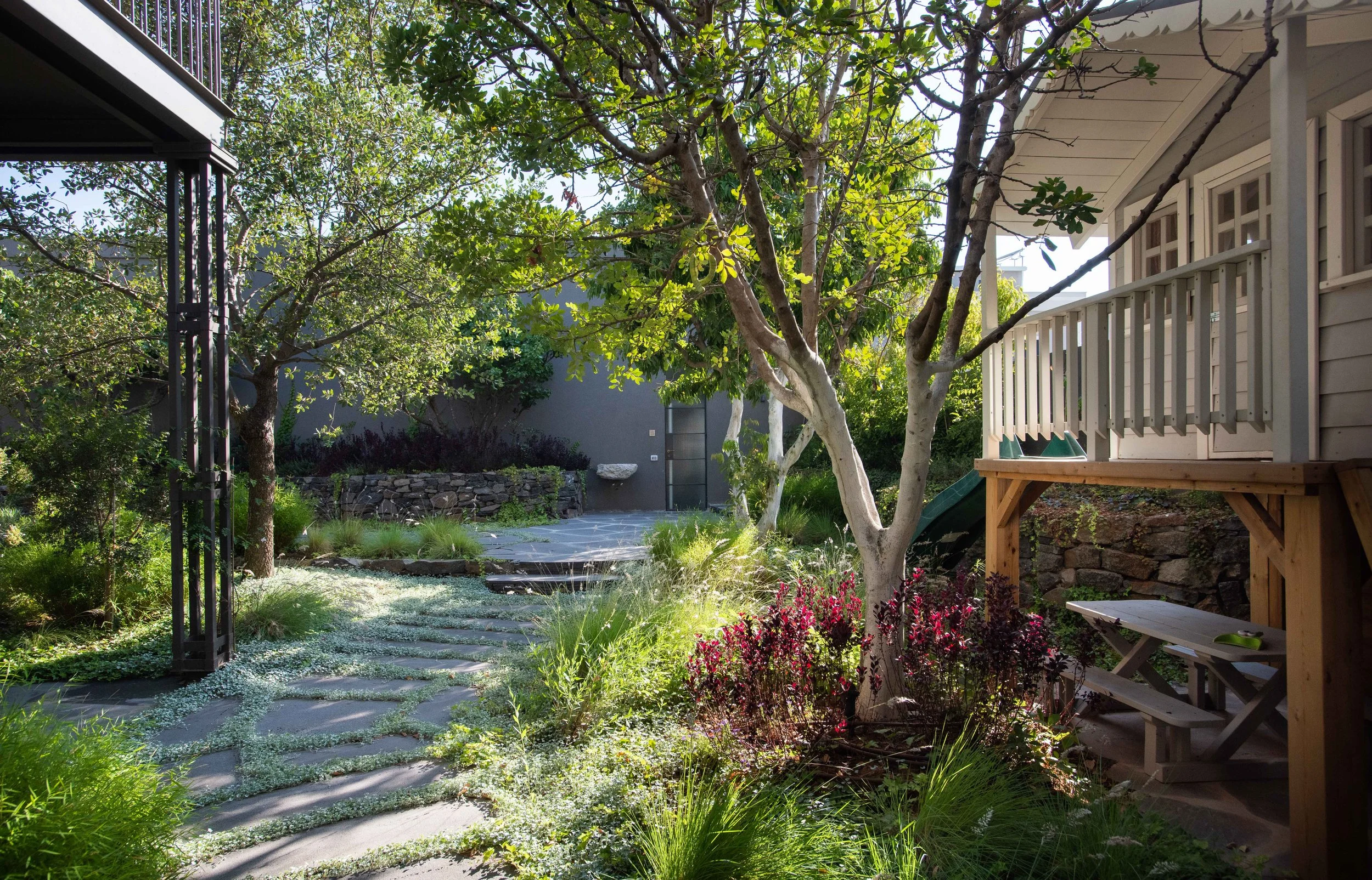 GiladRadat -2797.JPG