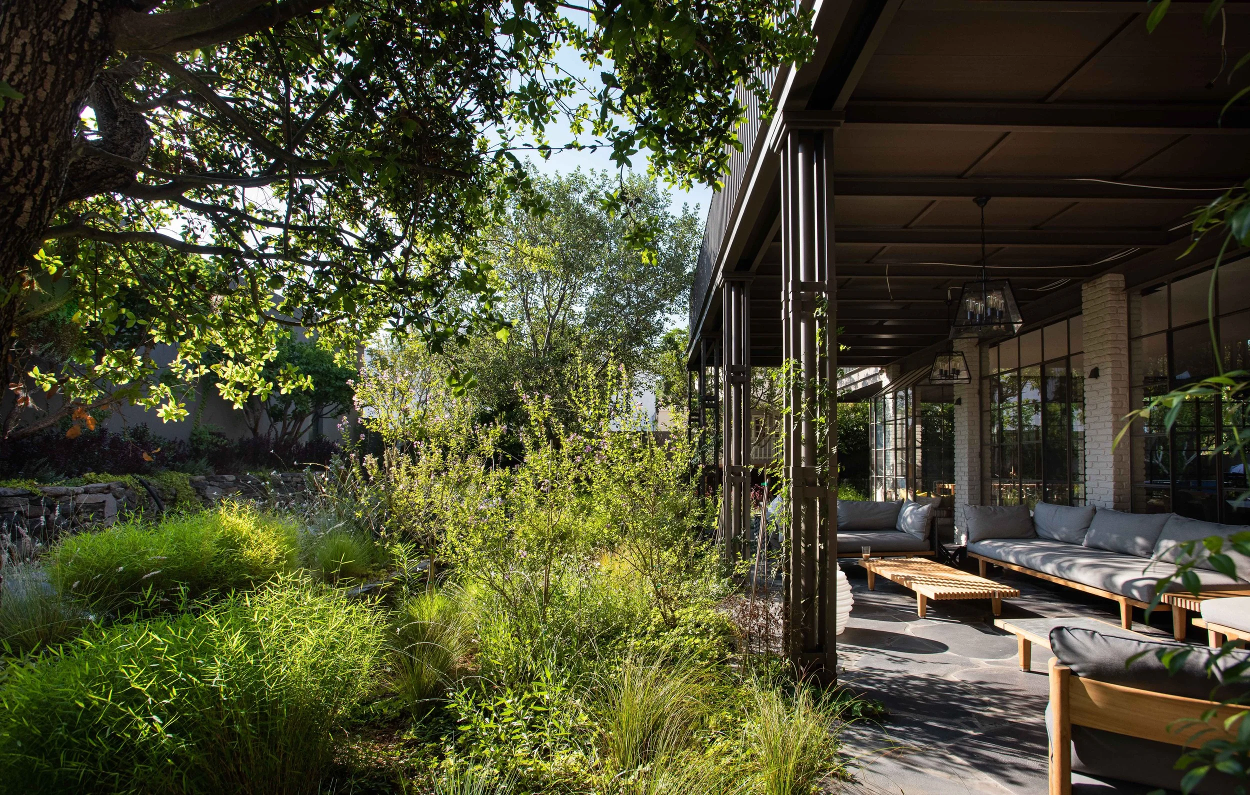 GiladRadat -2810.JPG