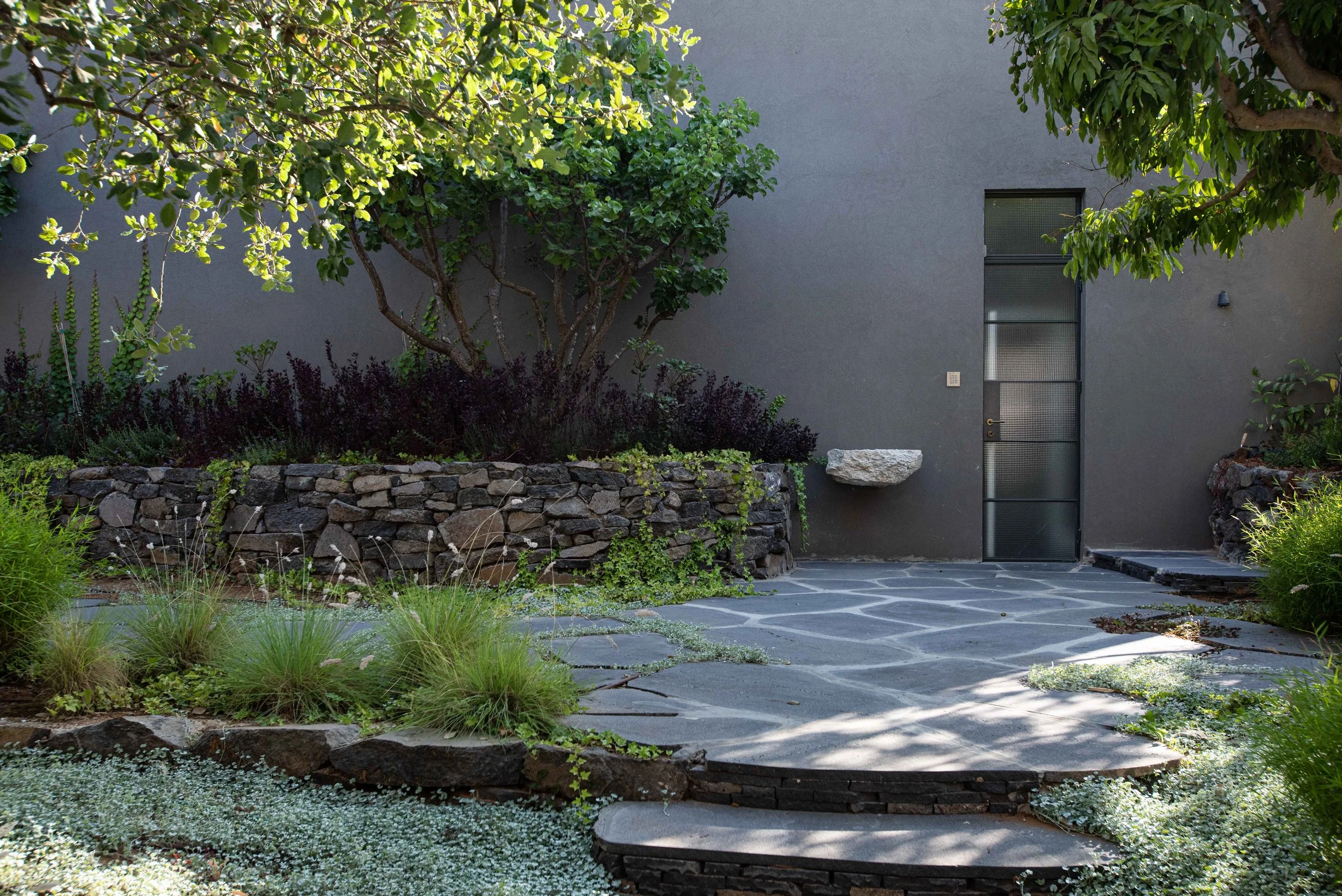 GiladRadat -2825.JPG