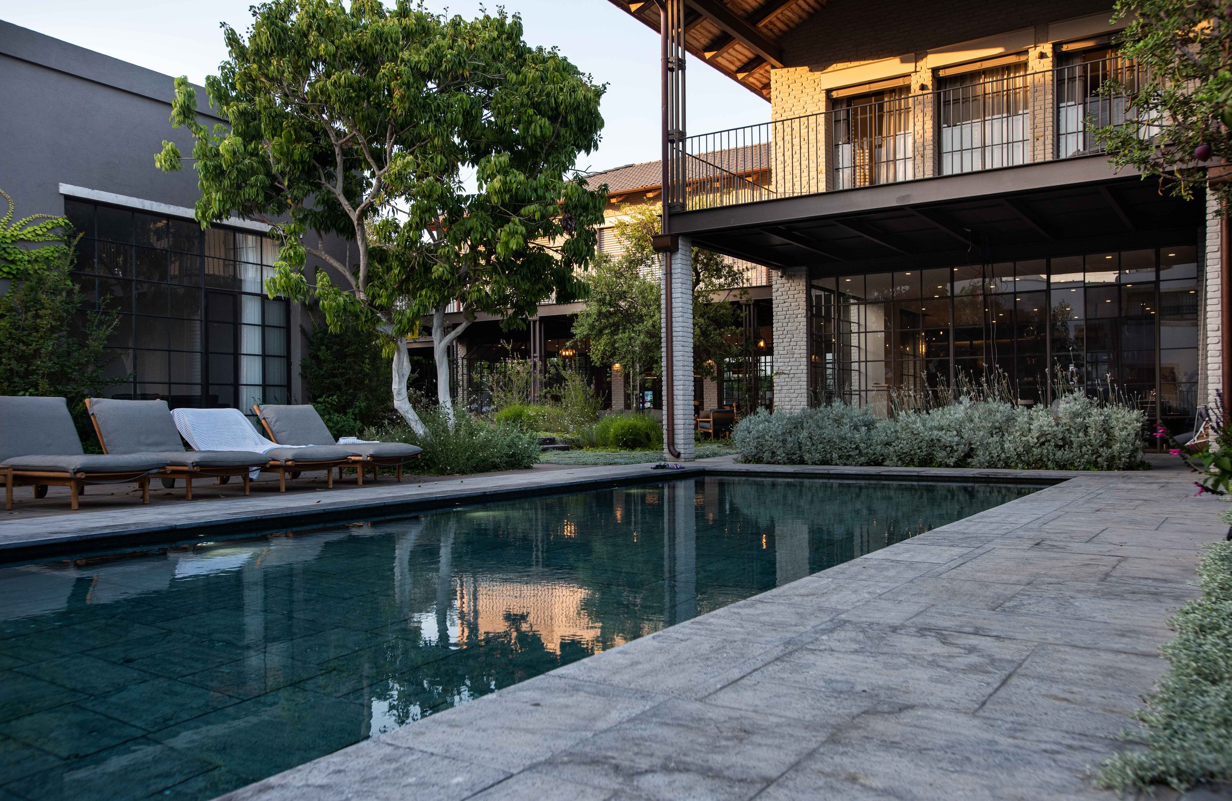 GiladRadat -2906.JPG