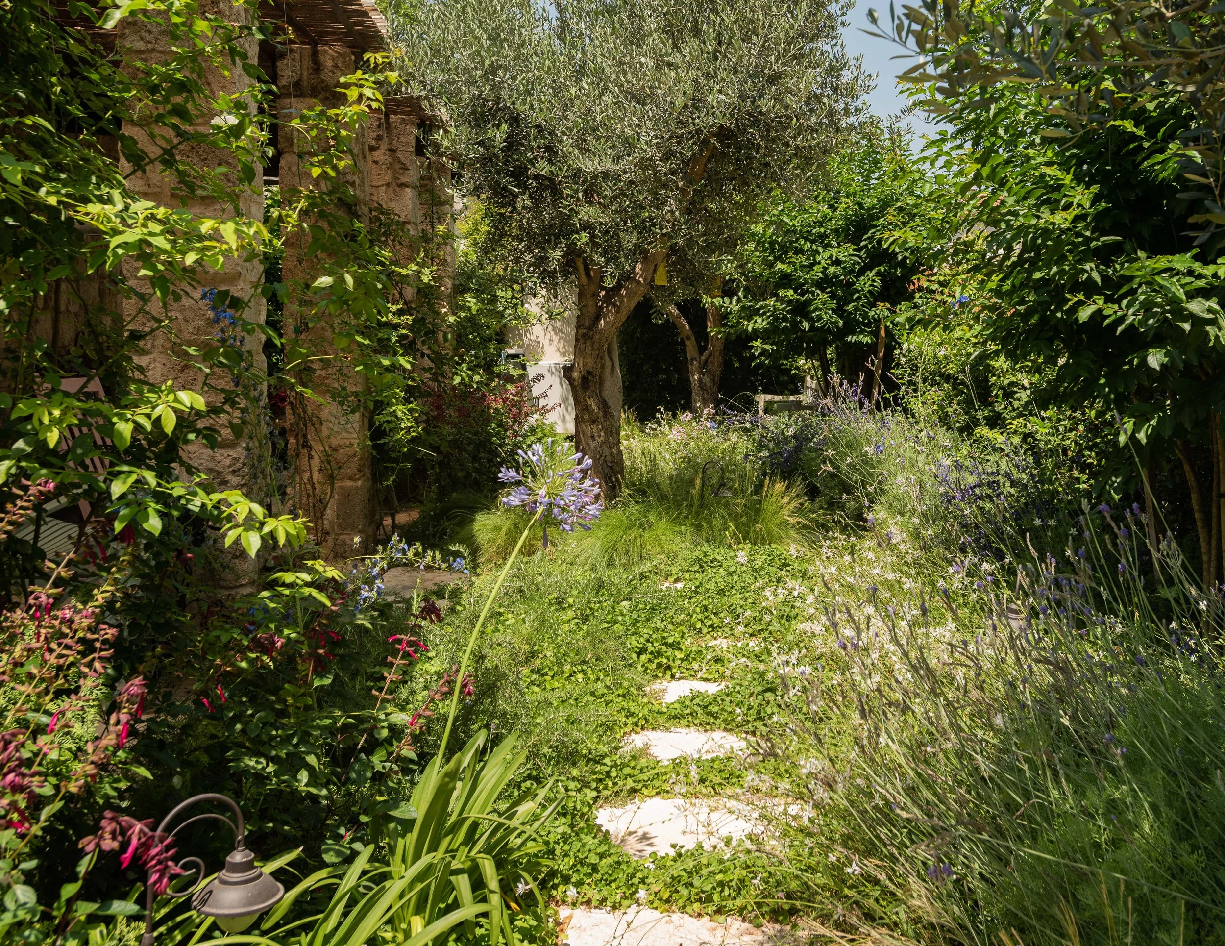 GiladRadat -9322.JPG