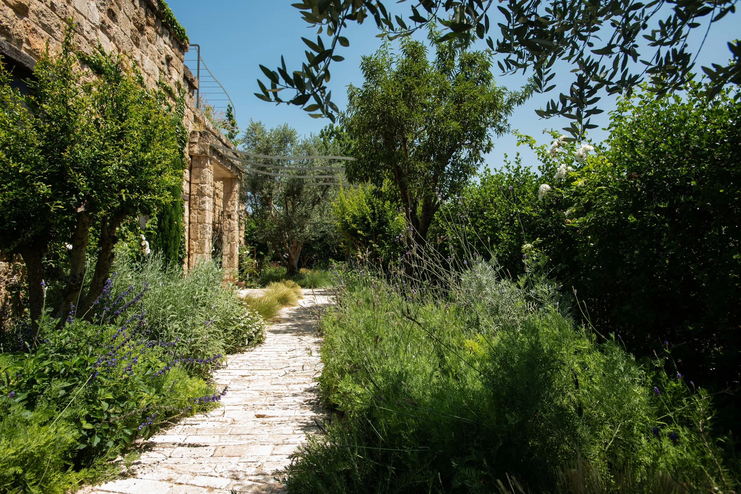 GiladRadat -9328.JPG