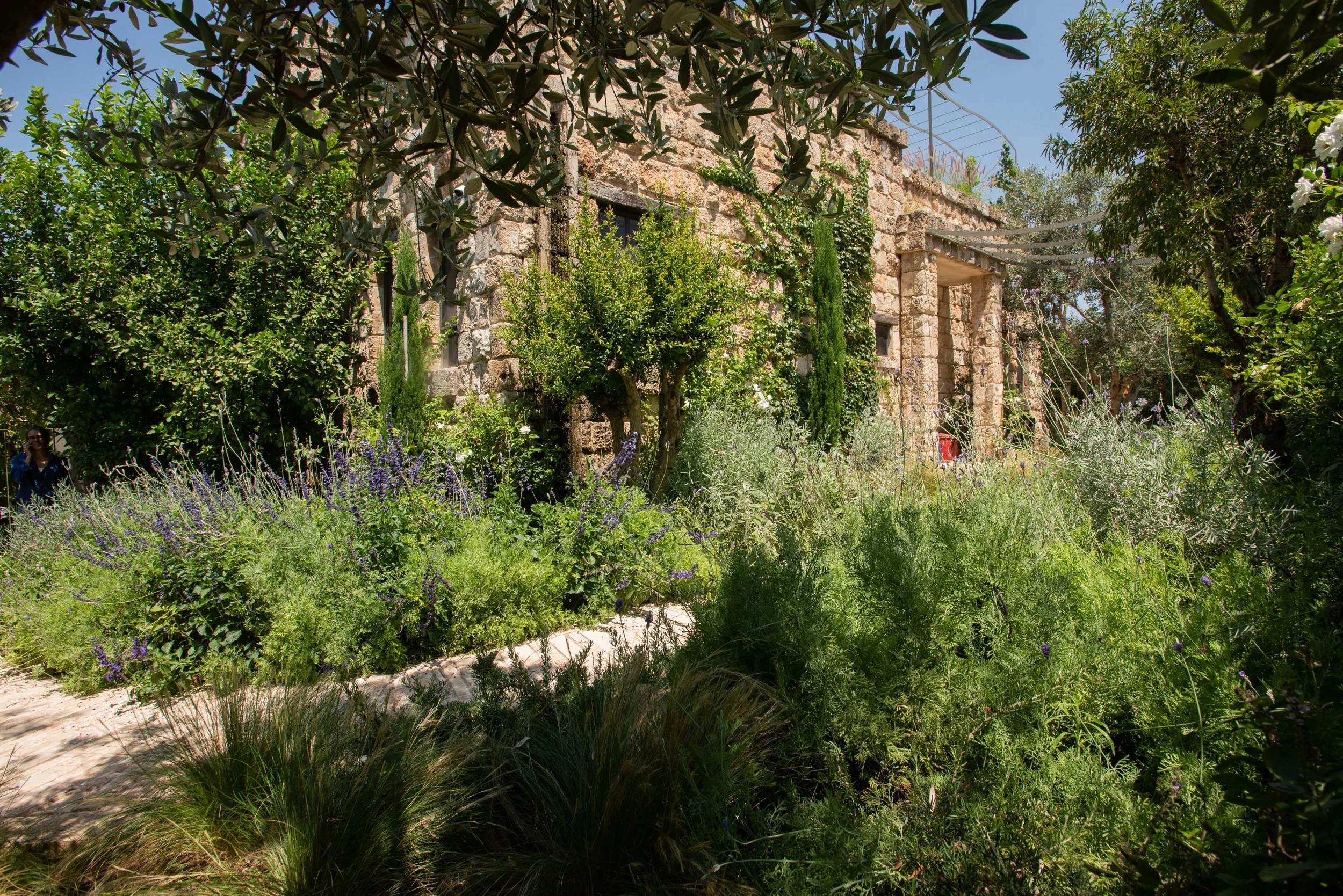 GiladRadat -9340.JPG