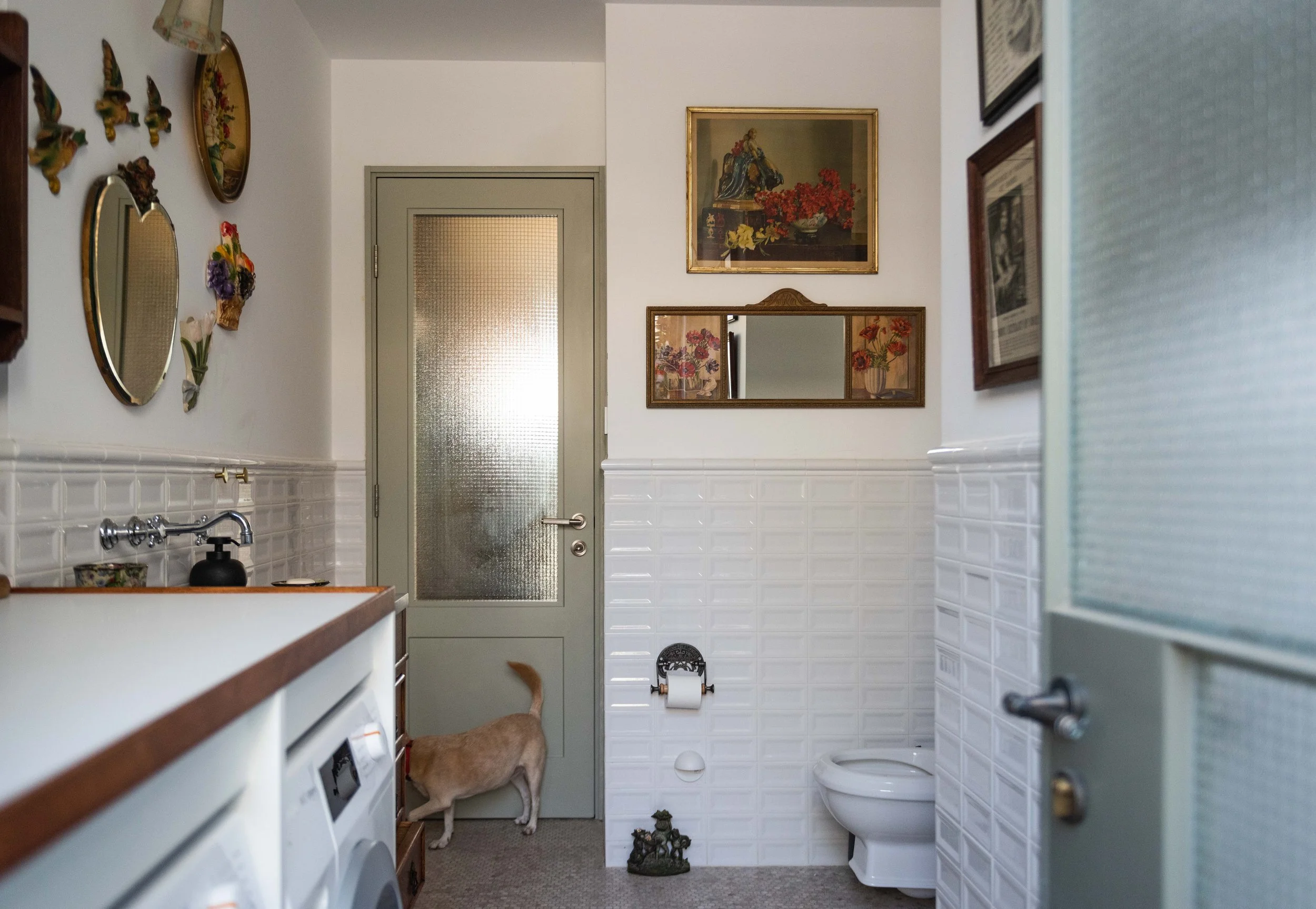 GiladRadat -9268.JPG