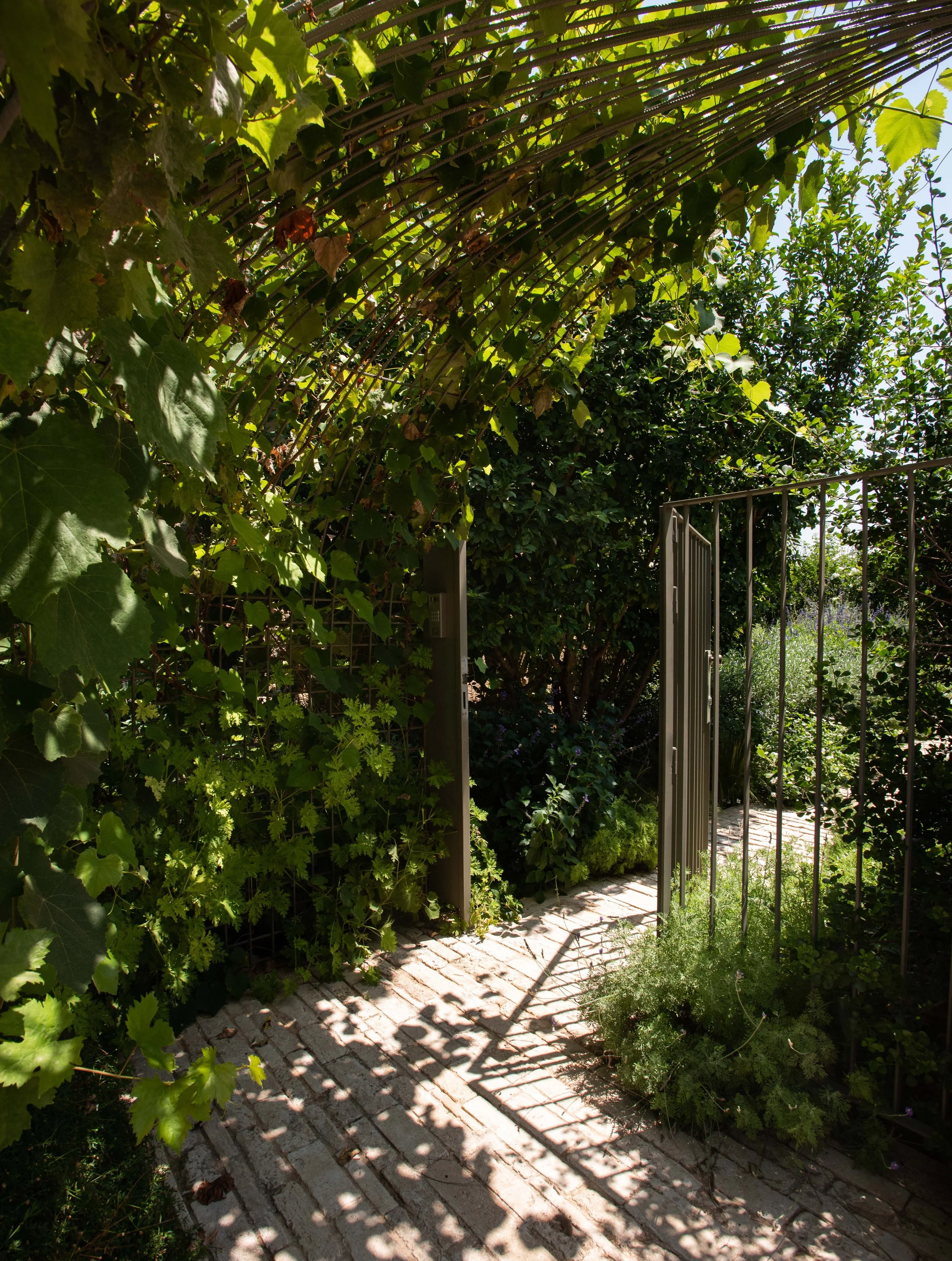 GiladRadat -9333.JPG