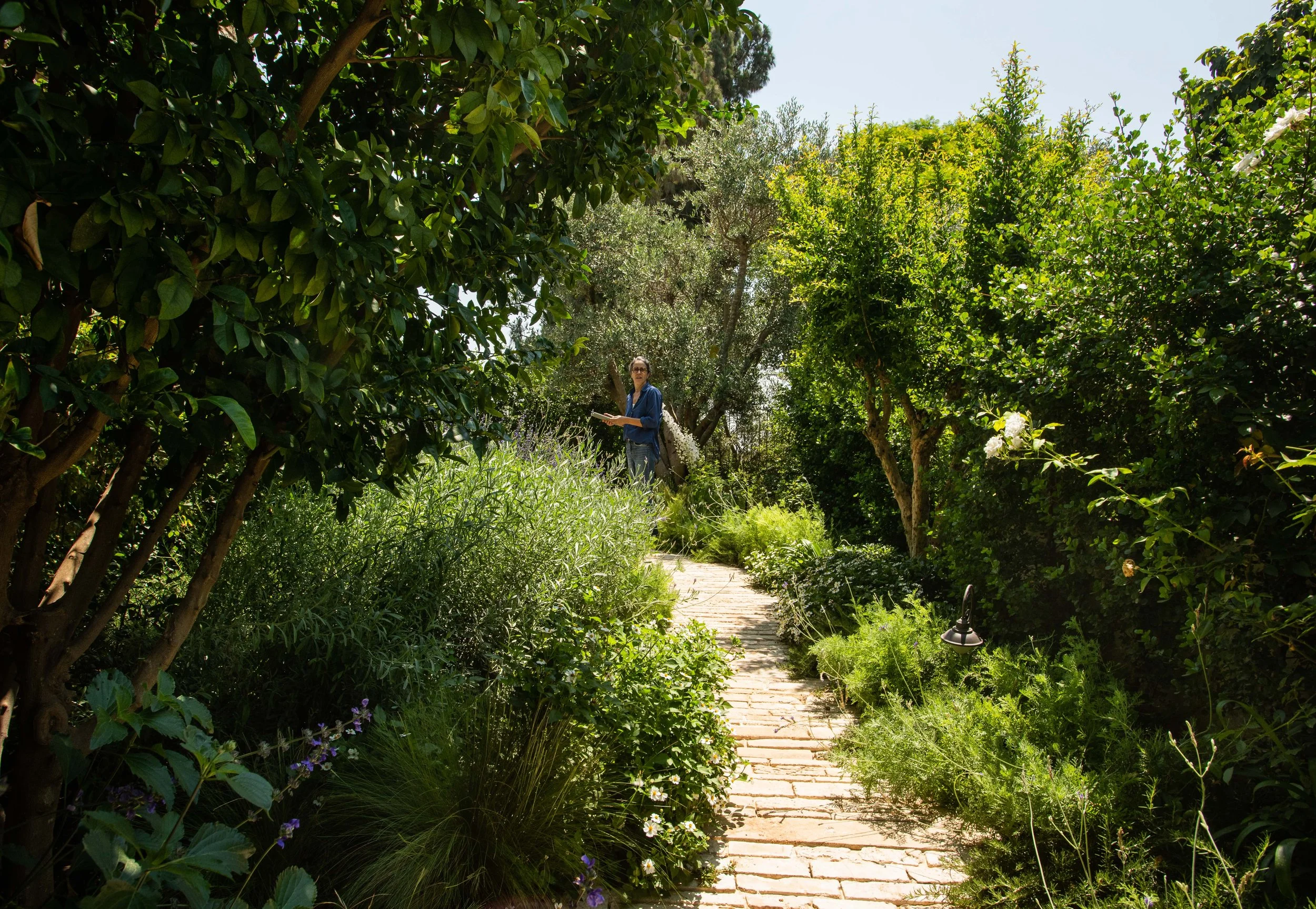 GiladRadat -9336.JPG