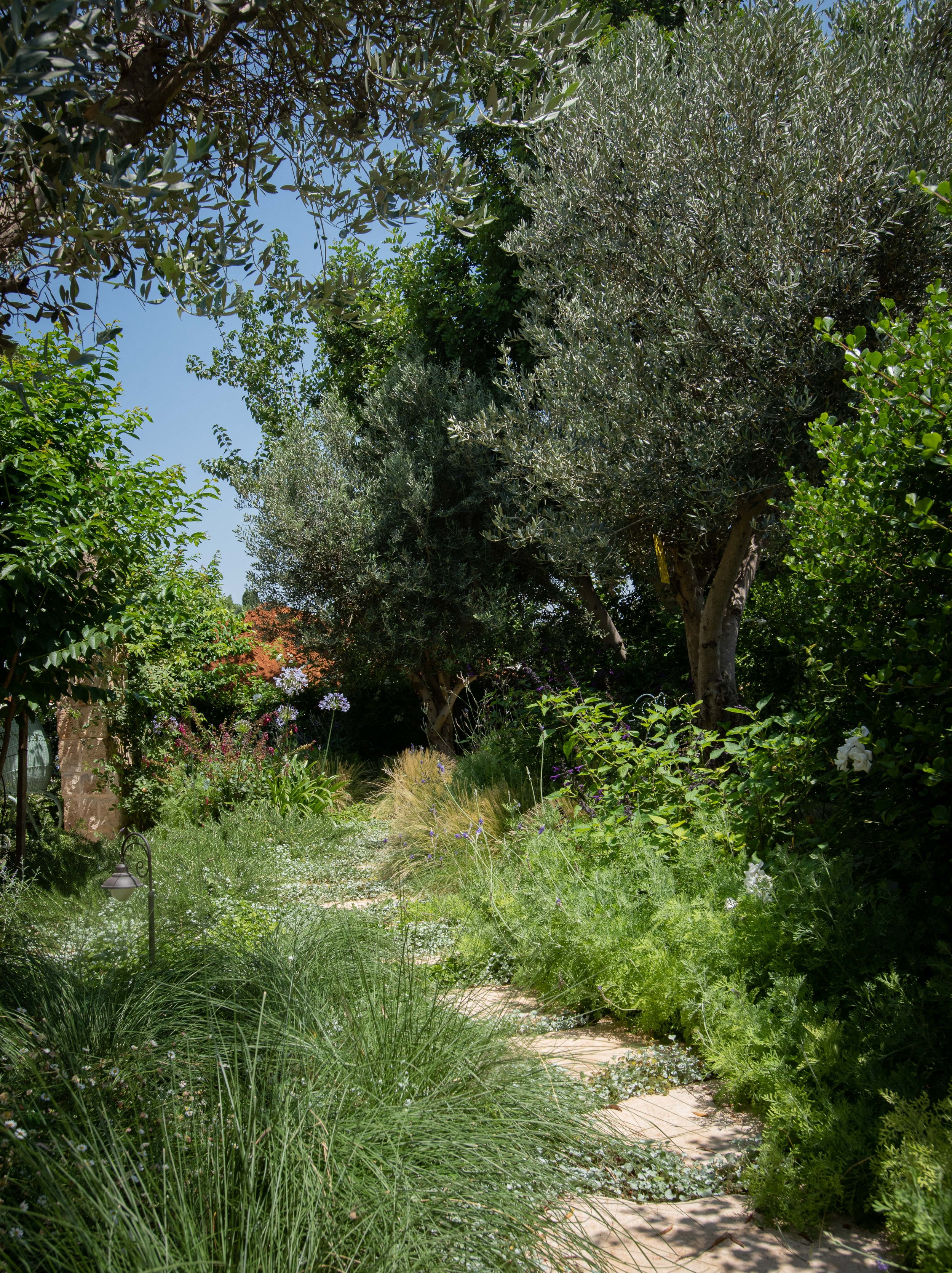 GiladRadat -9342.JPG