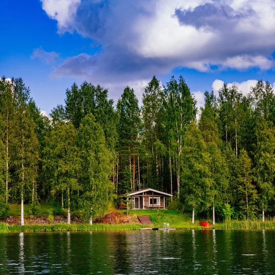 RACCOON LAKE HOUSE RENTALS