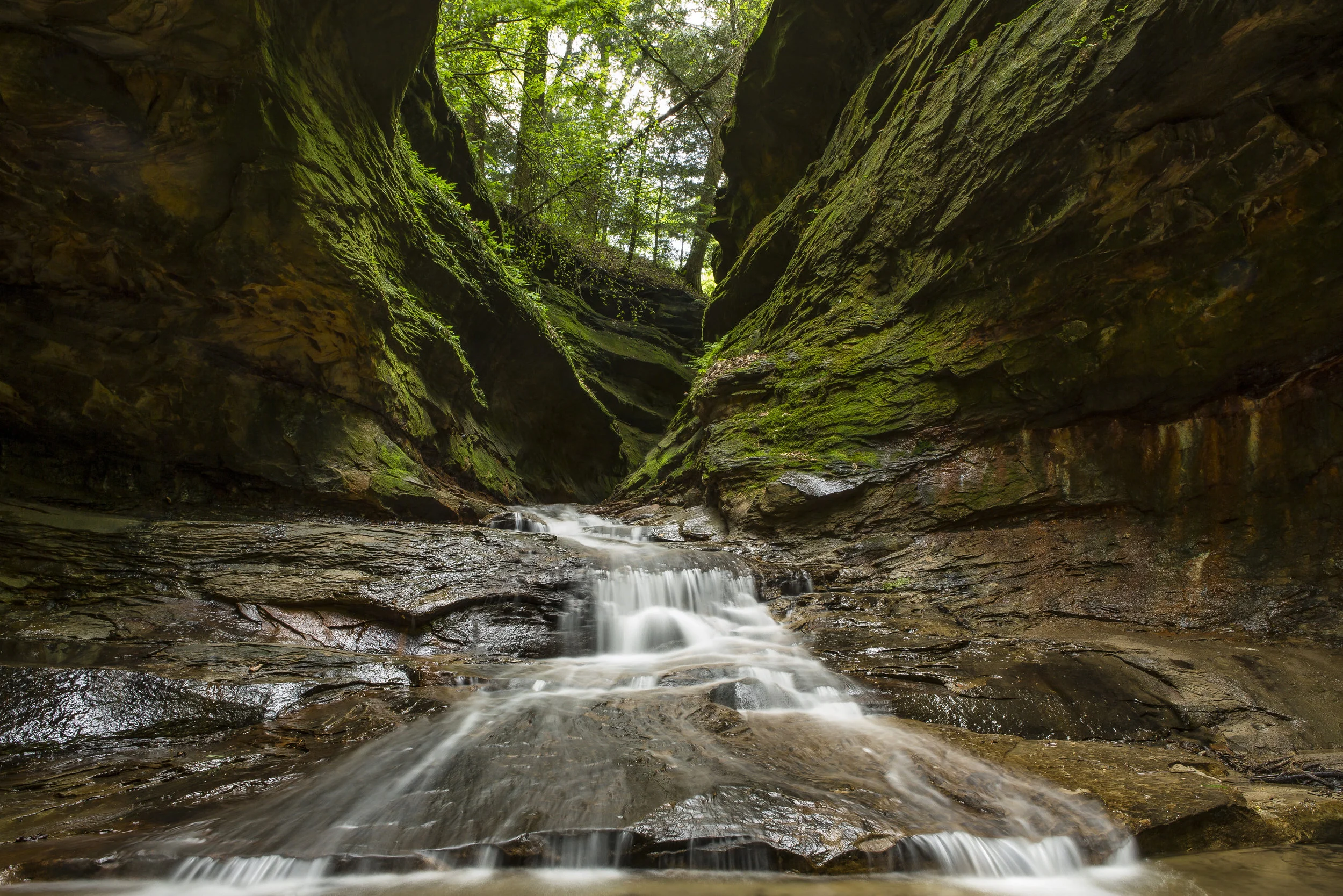 Turkey Run State Park