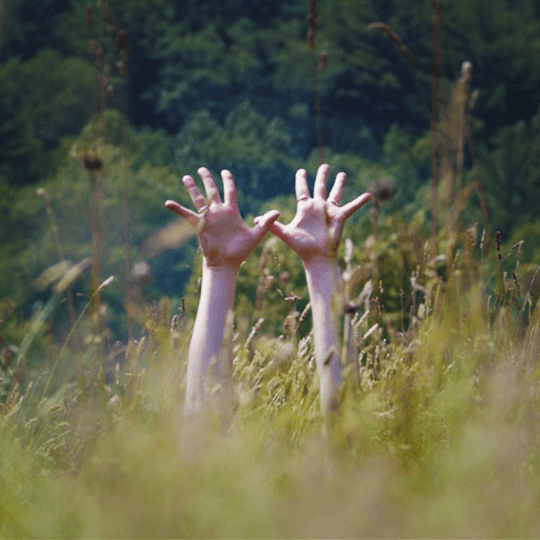 1x1_PASSION-ALICE_A8.png