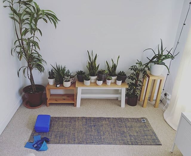 Today's view from the mat. I'm really missing teaching my wonderful clients... It's been almost 3 weeks since our last class. Hope to see you all again soon (even if it is digitally). I'm currently working on recording classes to teach online... Let'