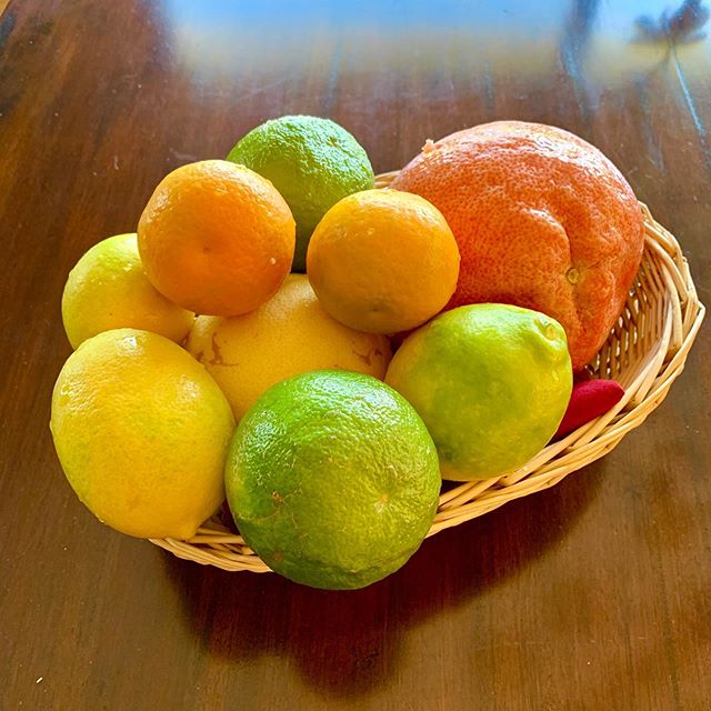 Handpick some yummy grapefruit, lemons and limes all around the property for a yummy sangria. Find our fruit picker tool in the garage all for action!