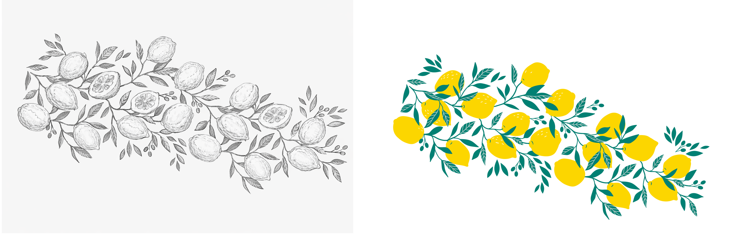  For  Citron Olive Oil , the design evolved as a variation within the same family. Hand-drawn lemon and olive tree branch studies provided the foundation for a repeatable pattern that would wrap the tin without overwhelming the label text.   