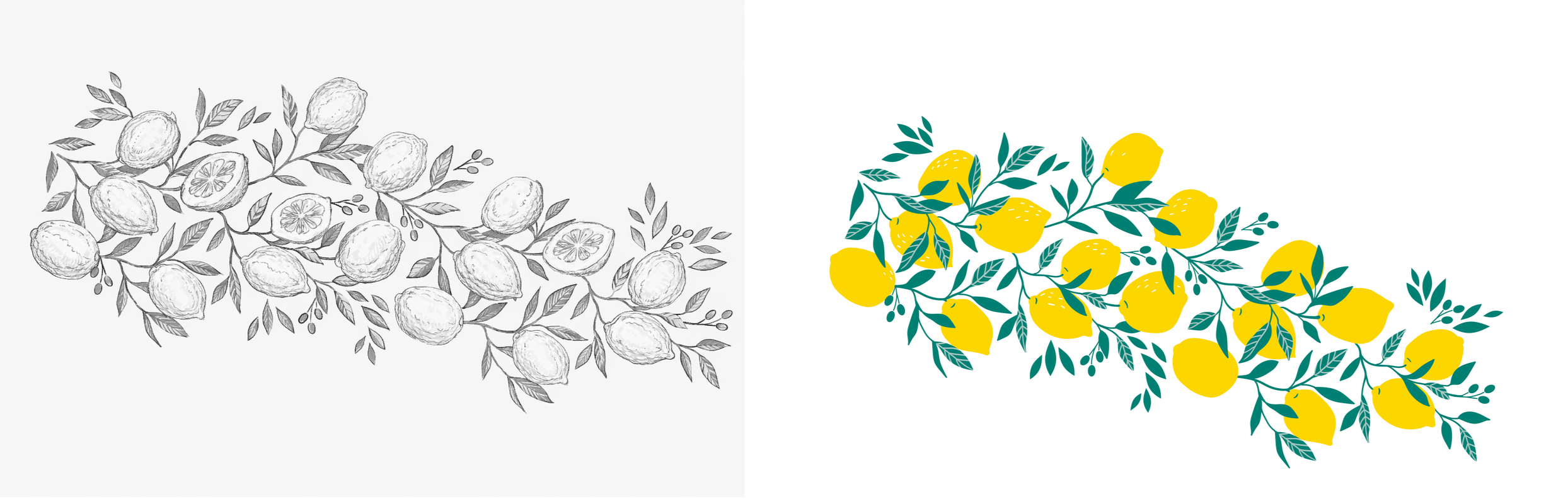  For  Citron Olive Oil , the design evolved as a variation within the same family. Hand-drawn lemon and olive tree branch studies provided the foundation for a repeatable pattern that would wrap the tin without overwhelming the label text.   