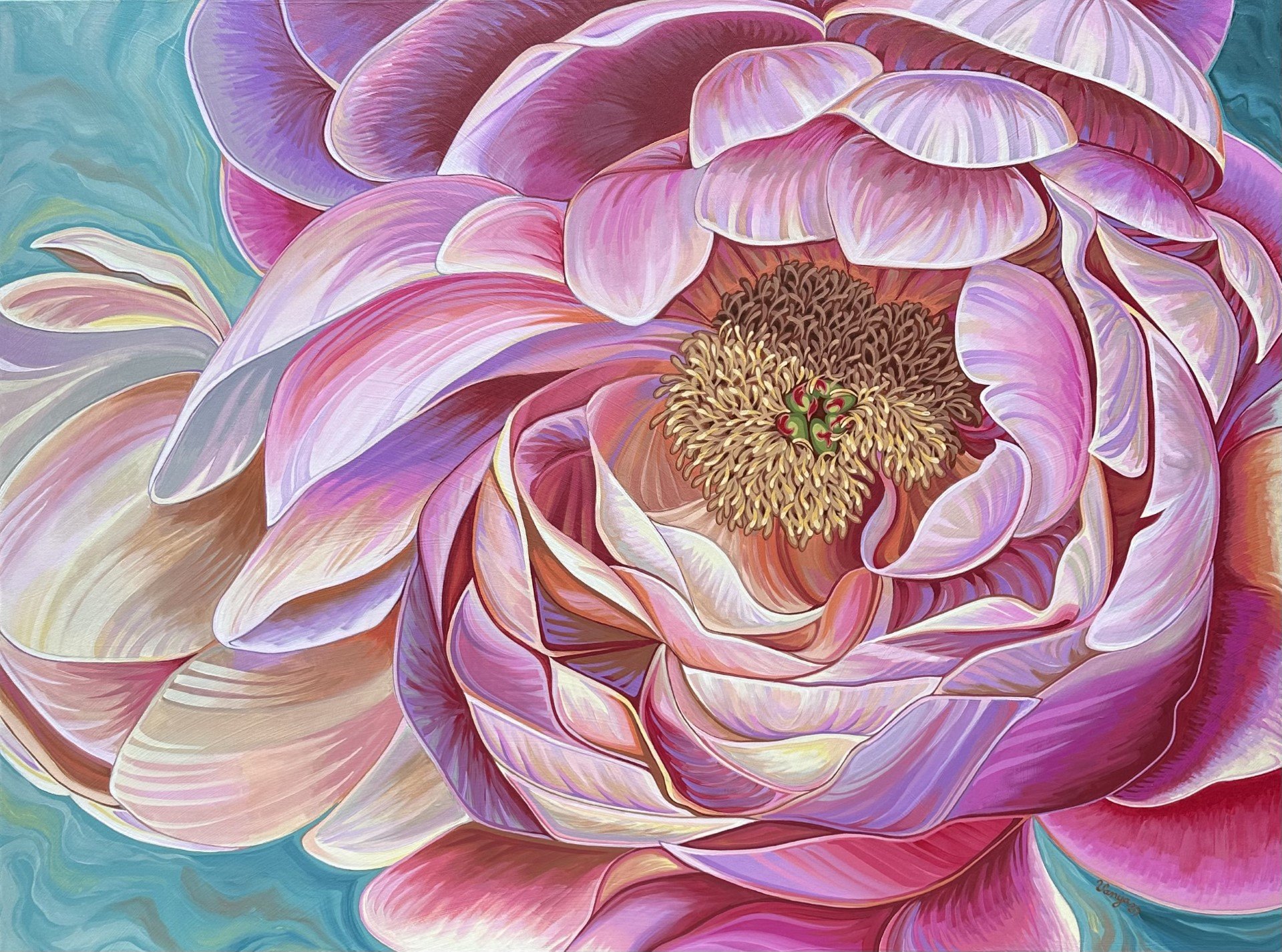 Fantasy Peony Update June 2023 ...jpg