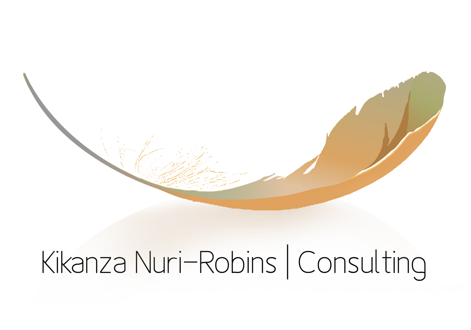 Kikanza Nuri-Robins | Consulting