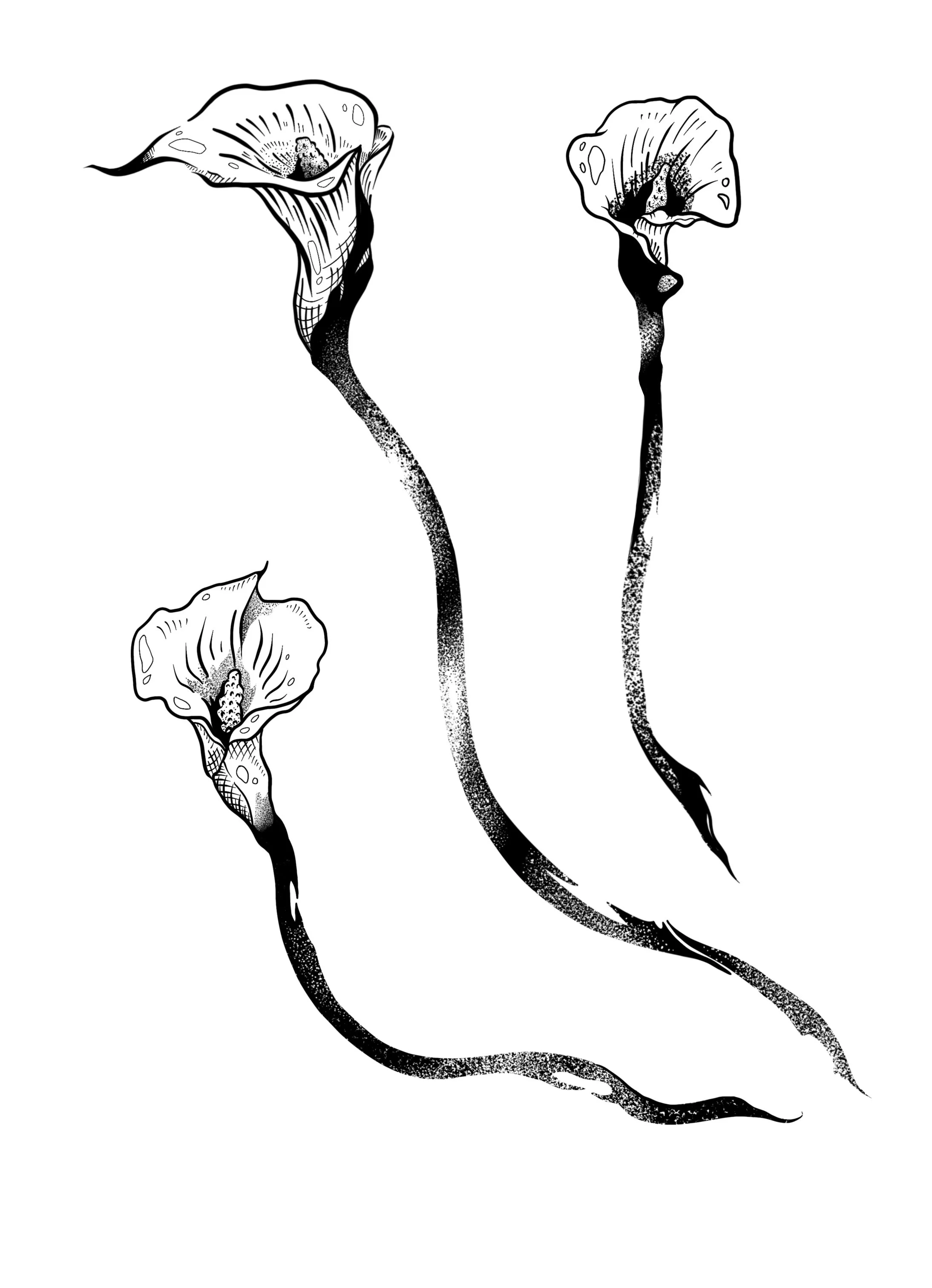 Untitled_Artwork 11.jpg