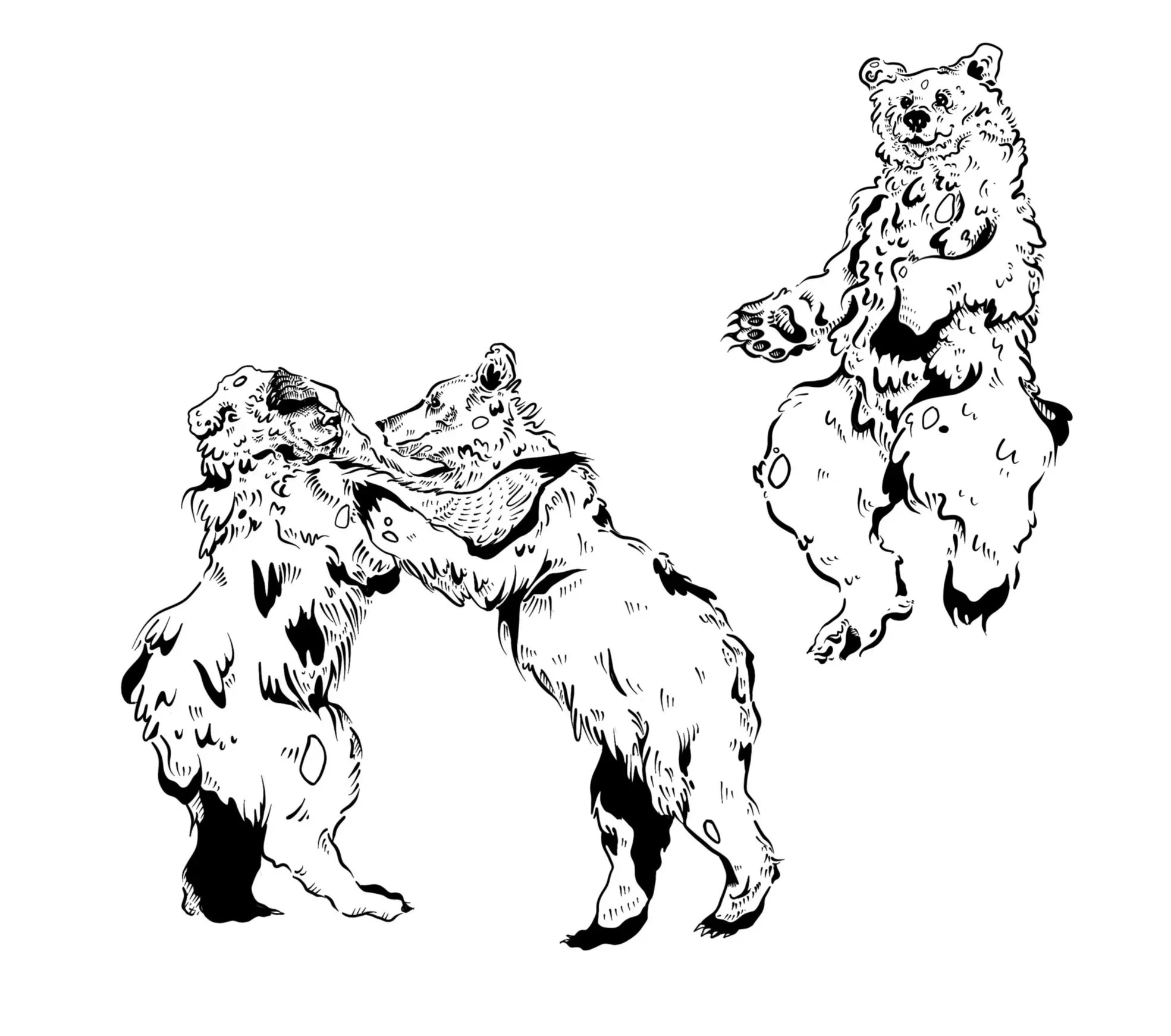 Untitled_Artwork+9.jpg