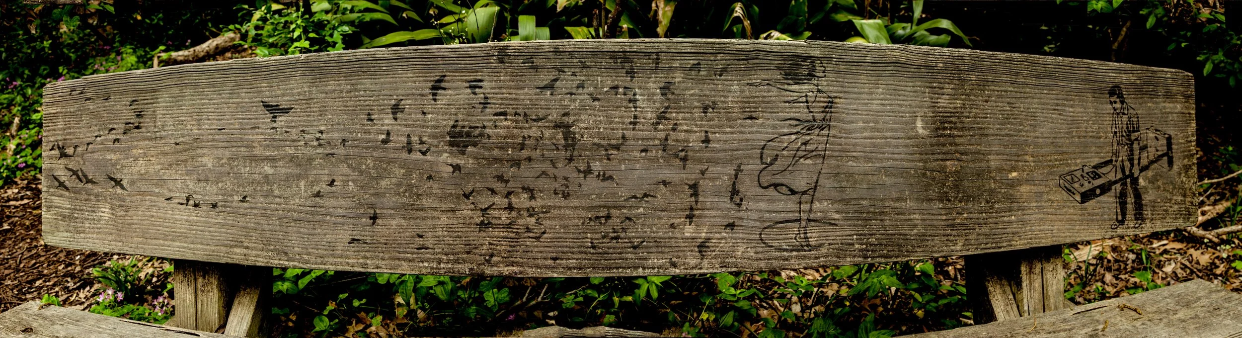 TreeChairBench-11.jpg