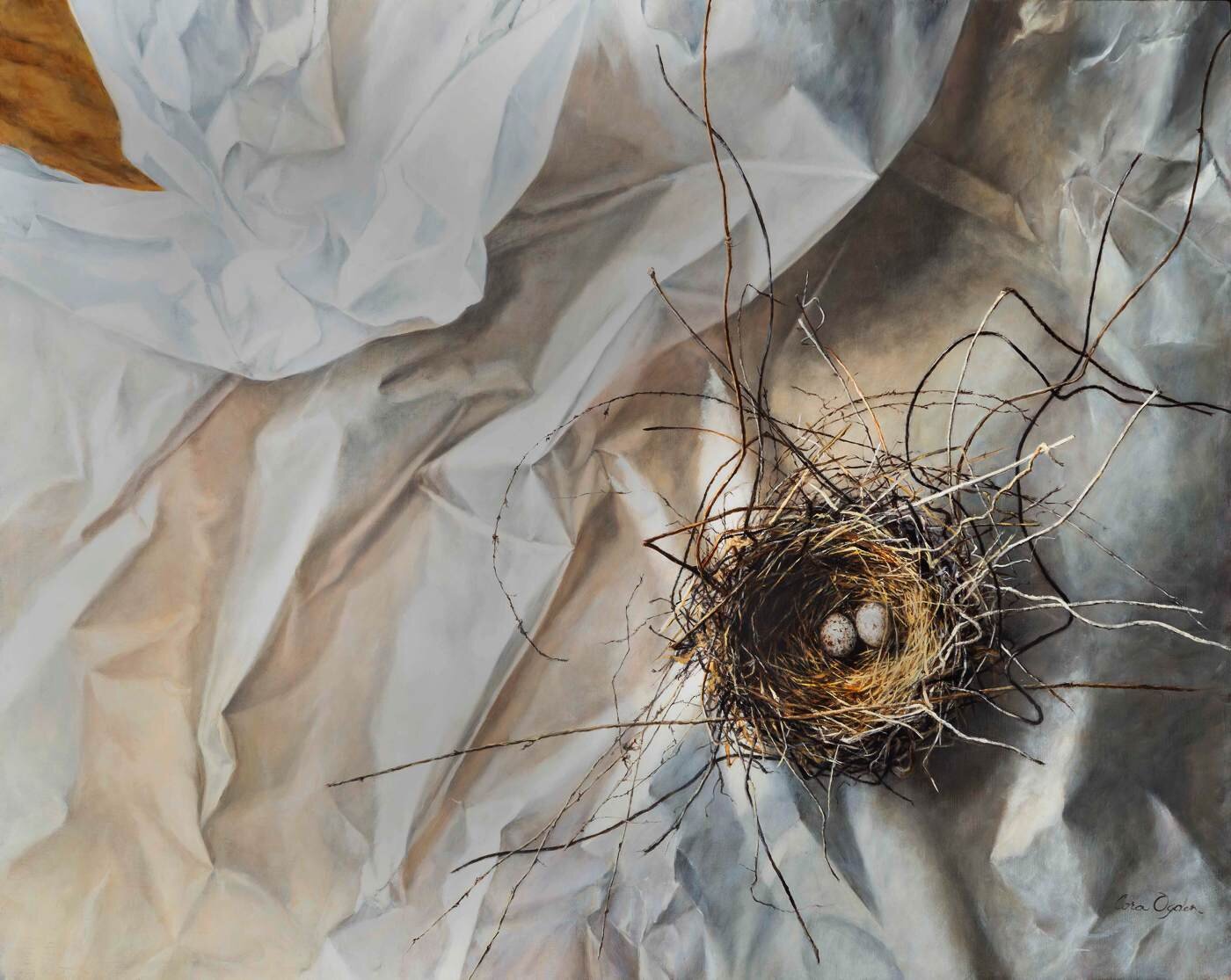 The Nest.jpg