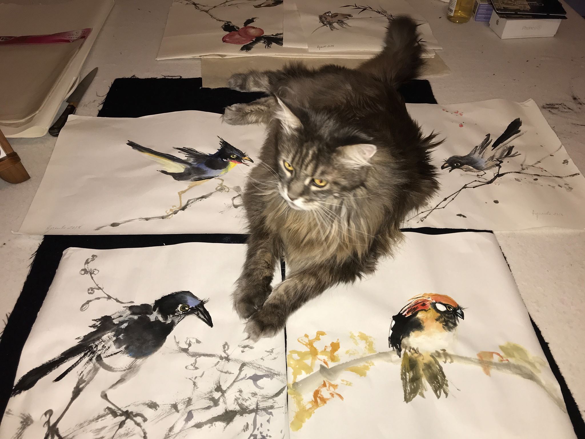 gata de l'Esther.jpg